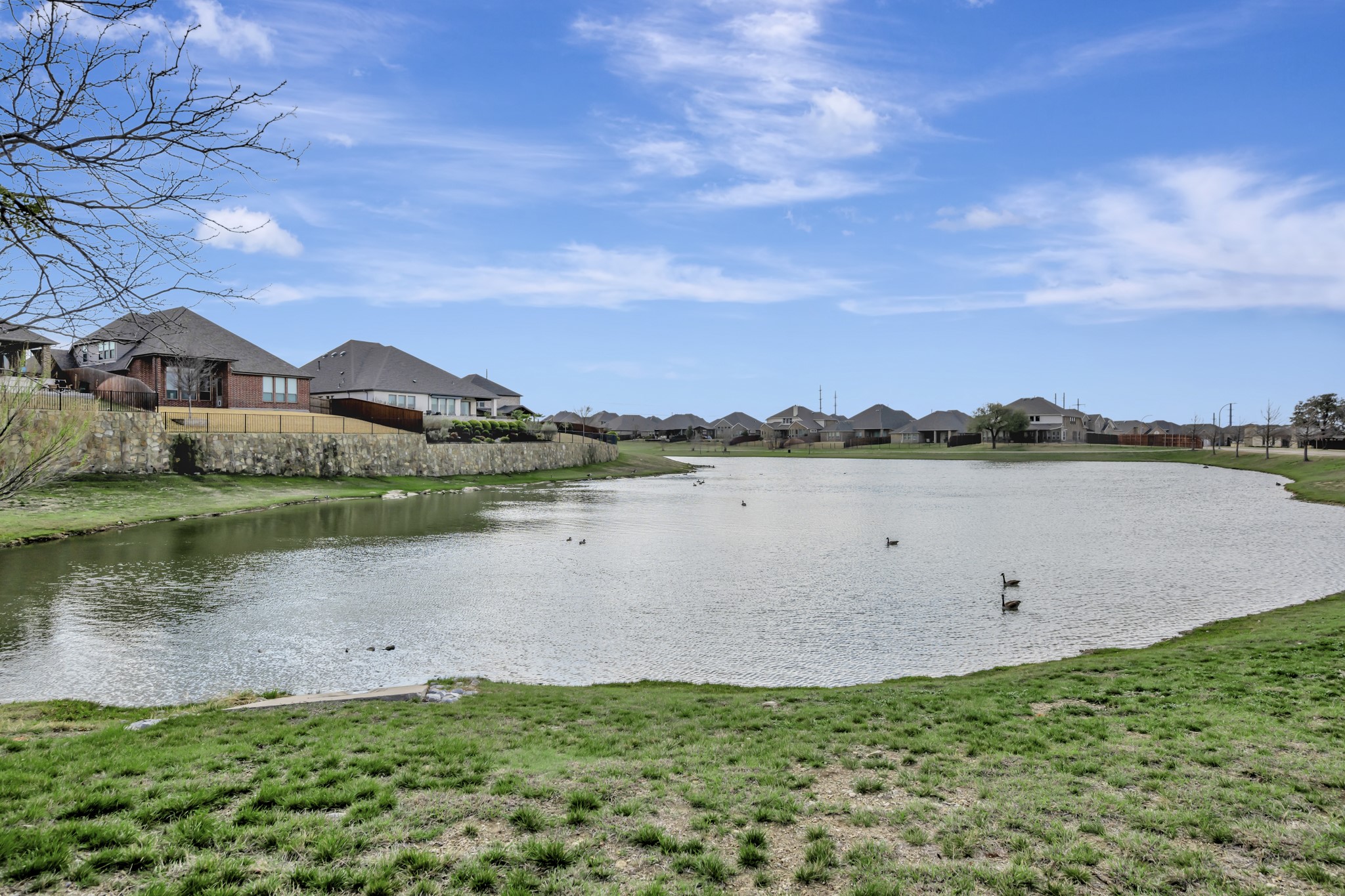 14620 Frog Lake Drive