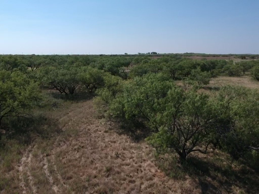 TBD Turtle Hole Road