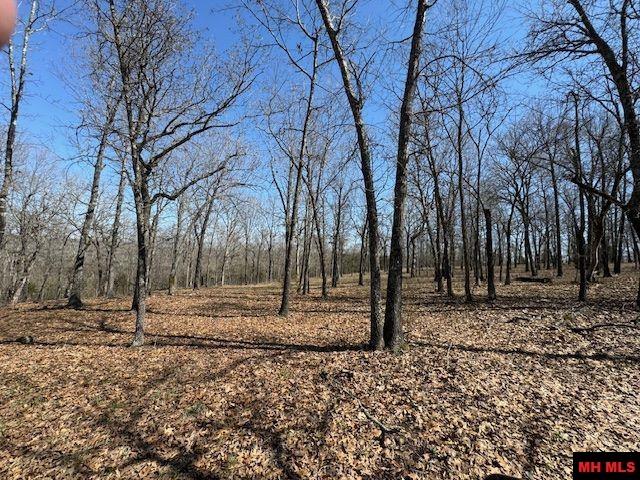 Tract 4 HWY 201 NORTH