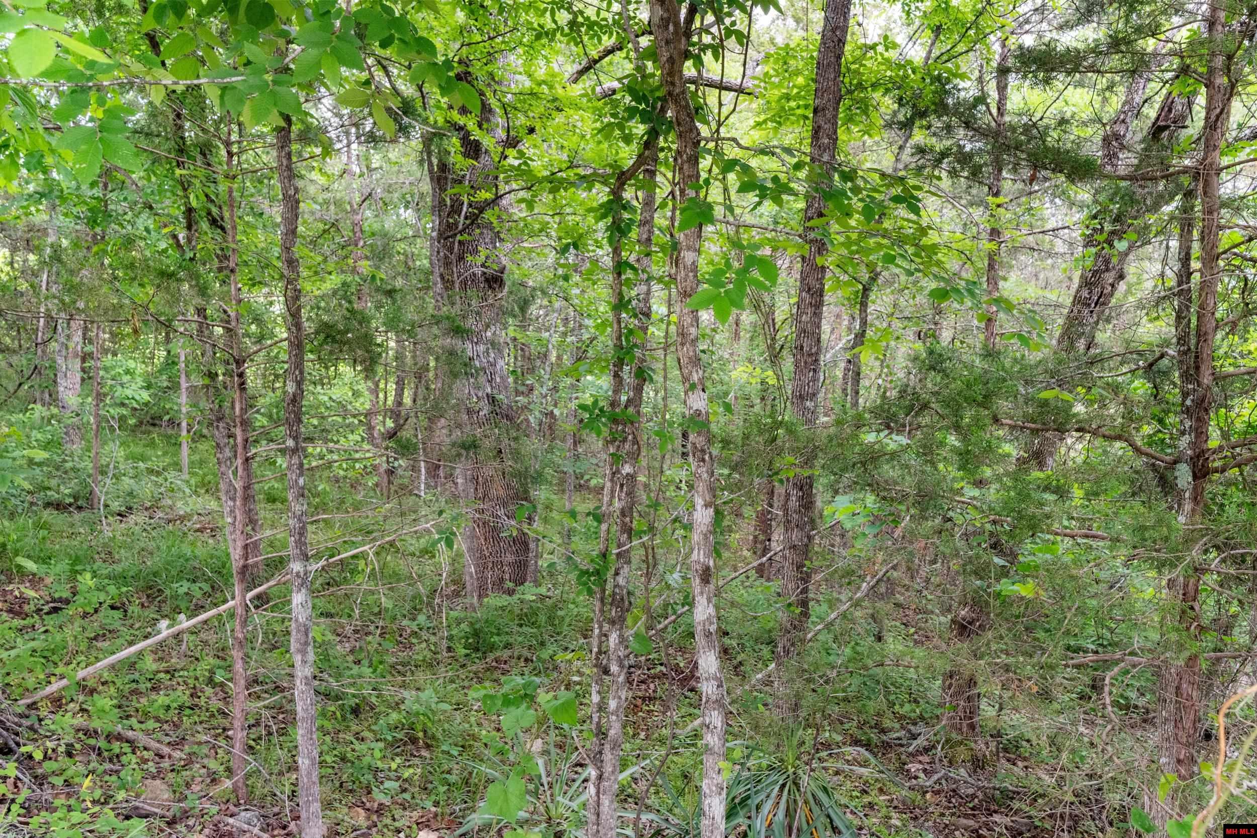 Lot 115 GREENHAVEN ROAD