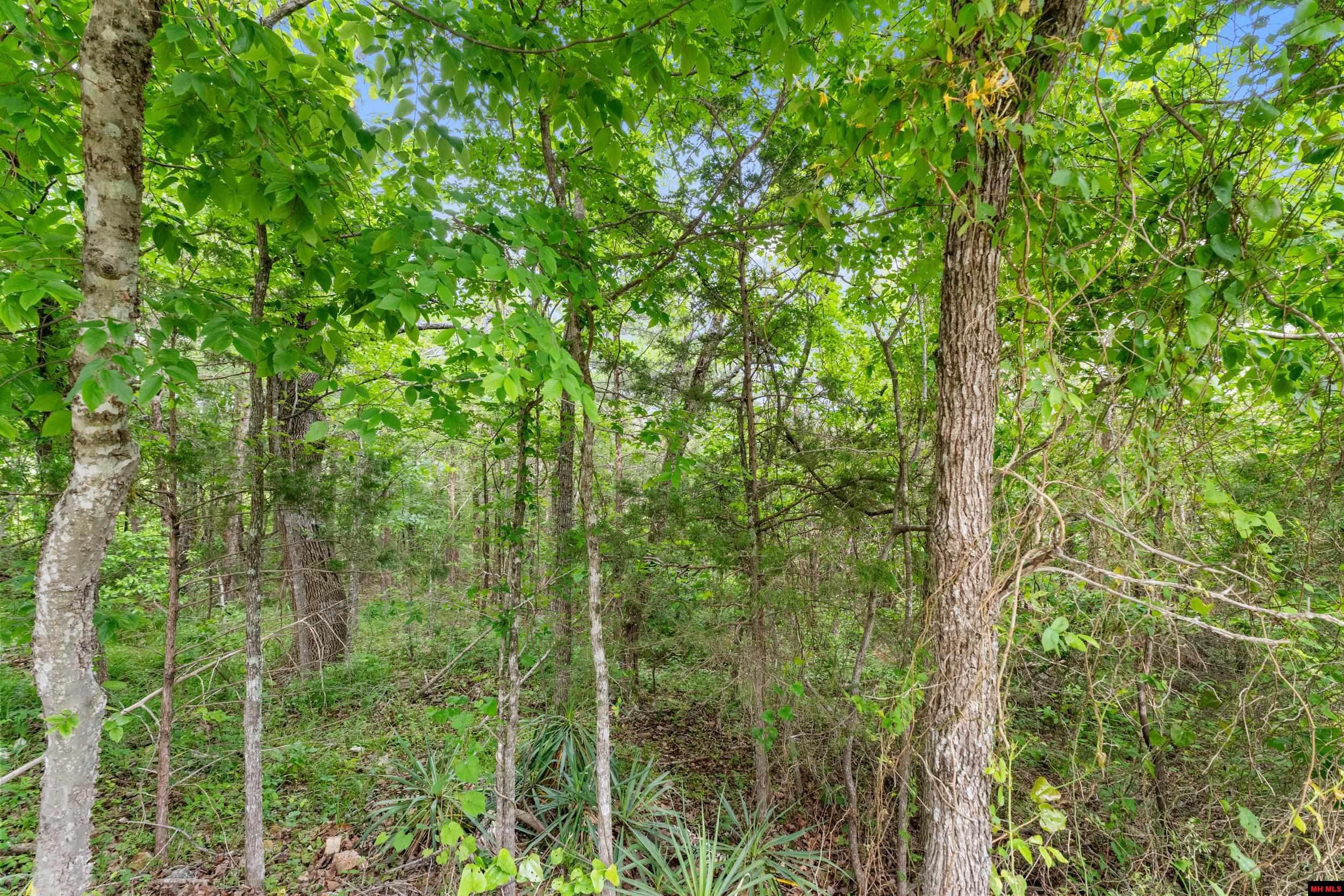 Lot 115 & 116 GREENHAVEN ROAD