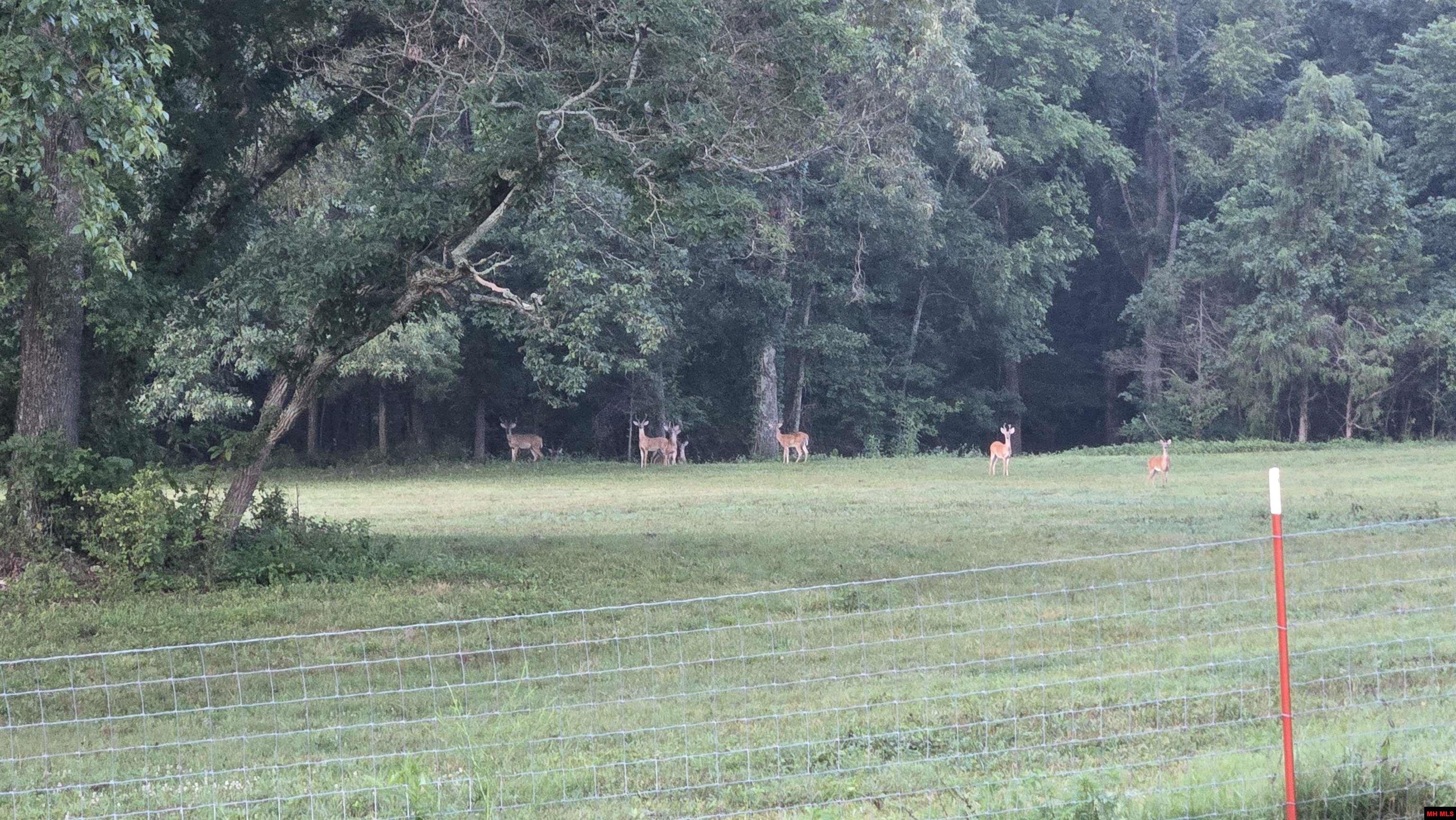 881 HWY 126 NORTH