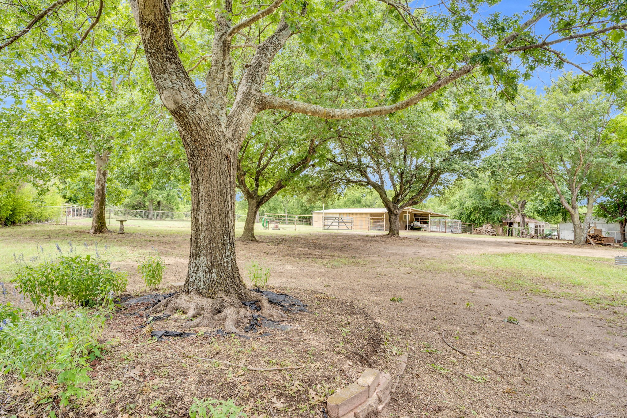 4831 Diamond Creek Drive