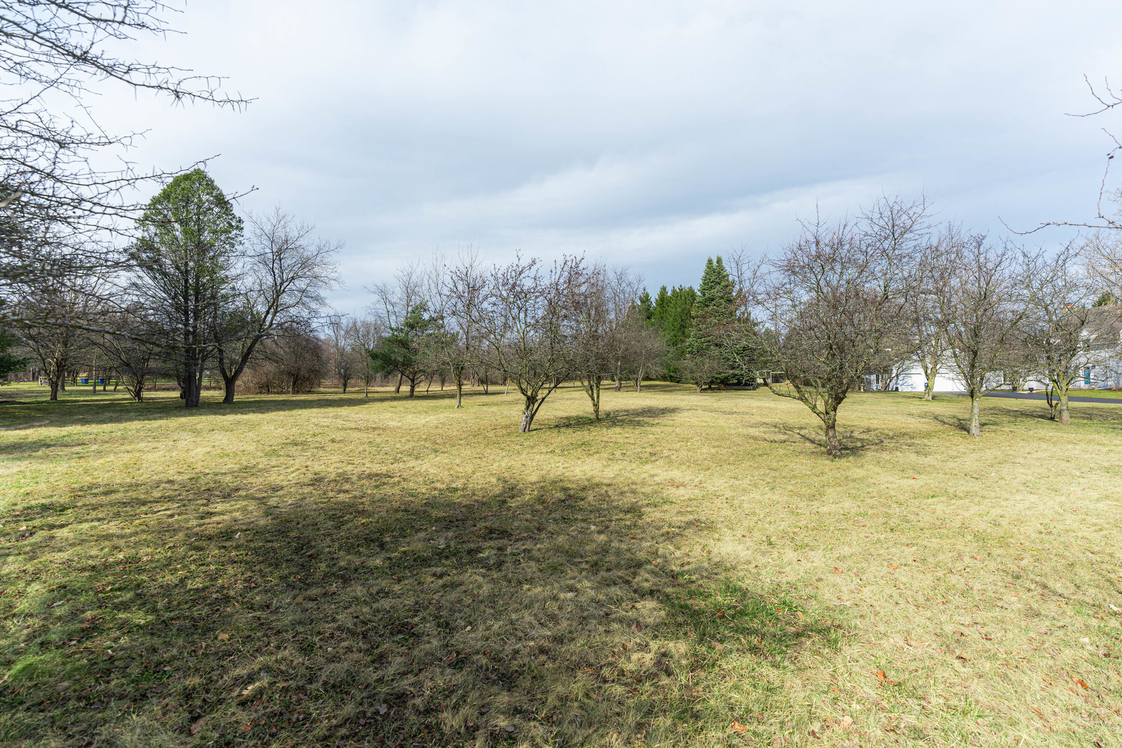 39W900 Prunetree Lane