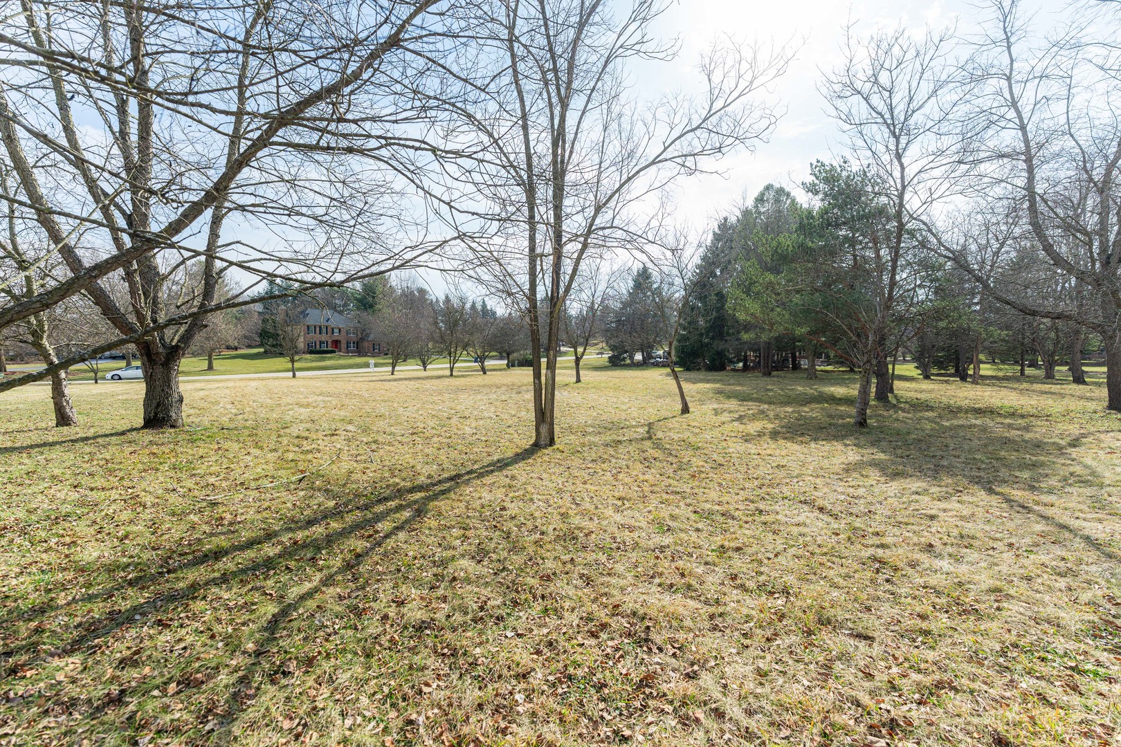 39W900 Prunetree Lane