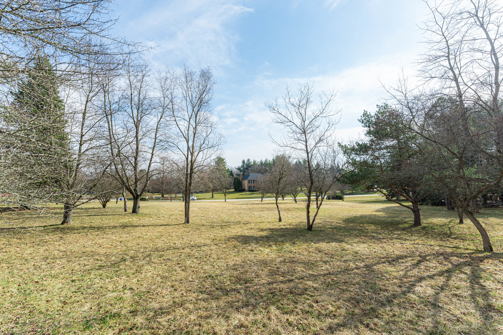 39W900 Prunetree Lane