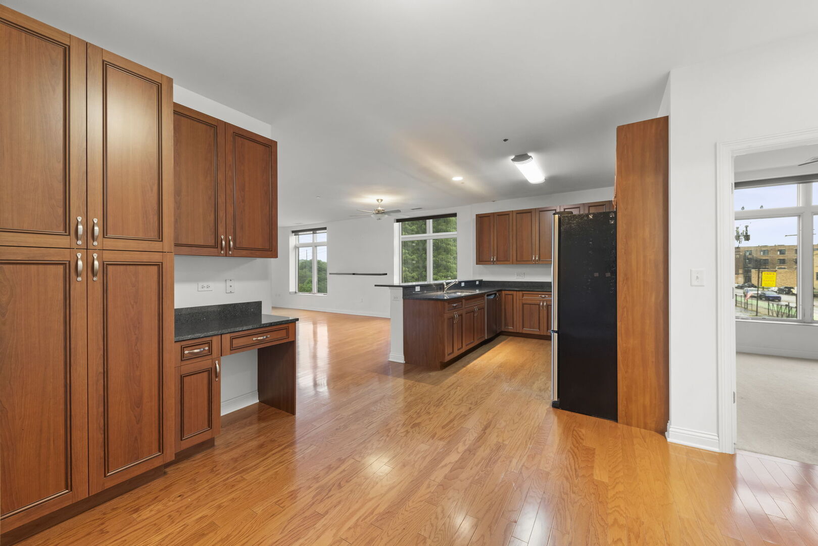 160 S River Street Unit: 215