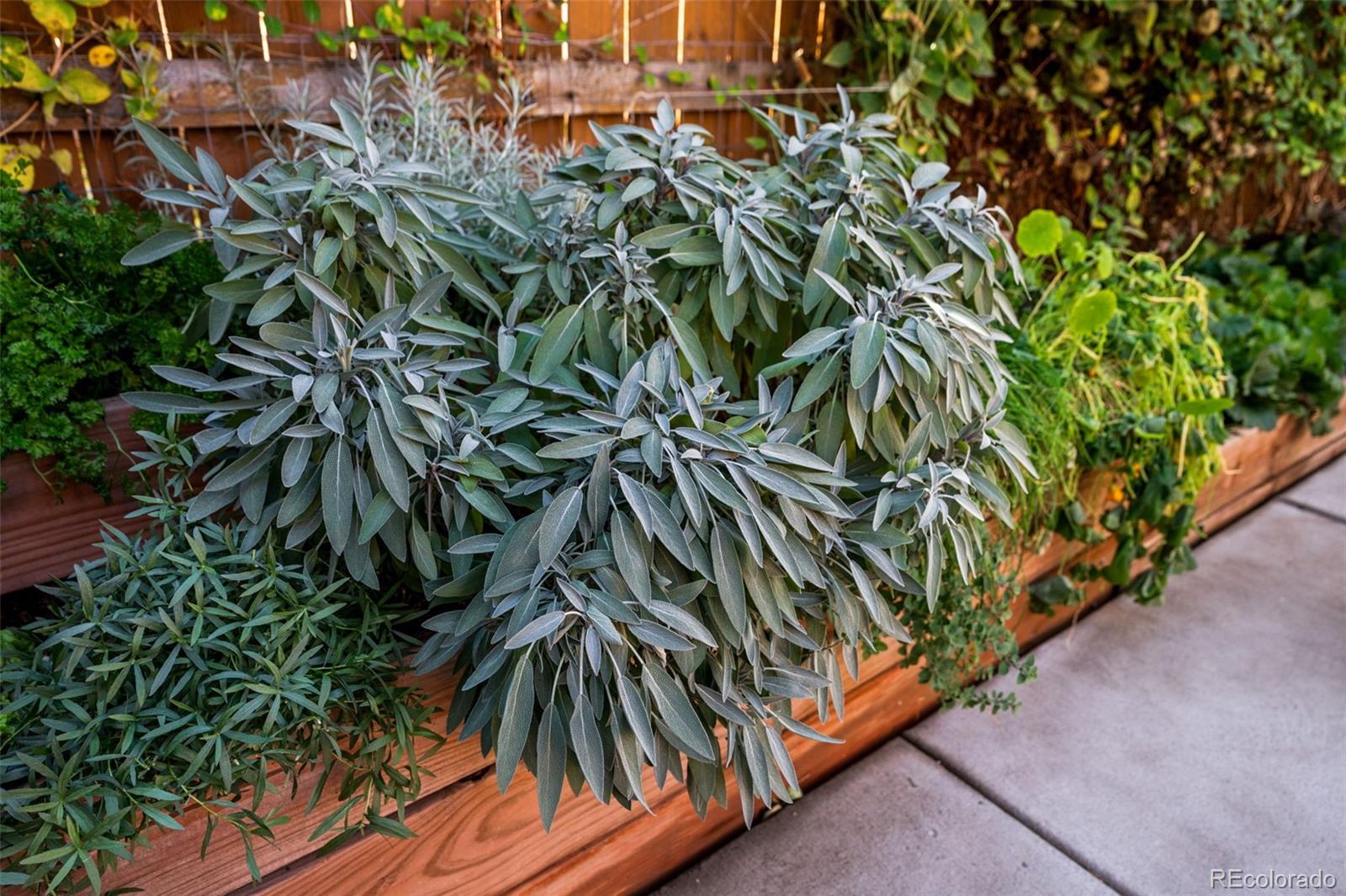 2535 California Street