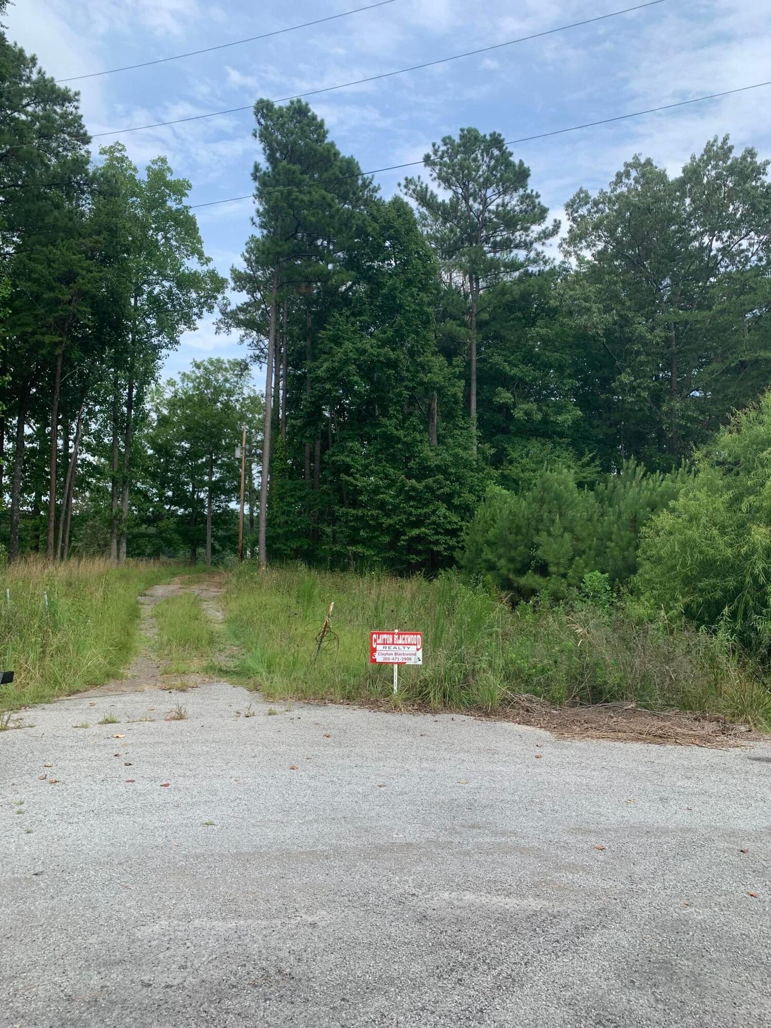 LOT 35 SOUTH POINTE Dr