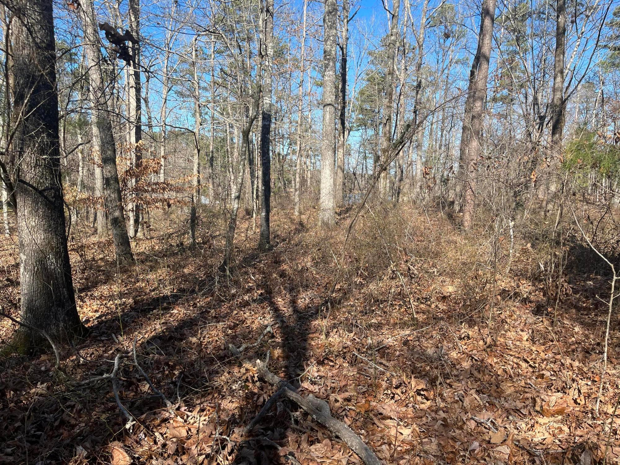LOT 132 STONEY POINT