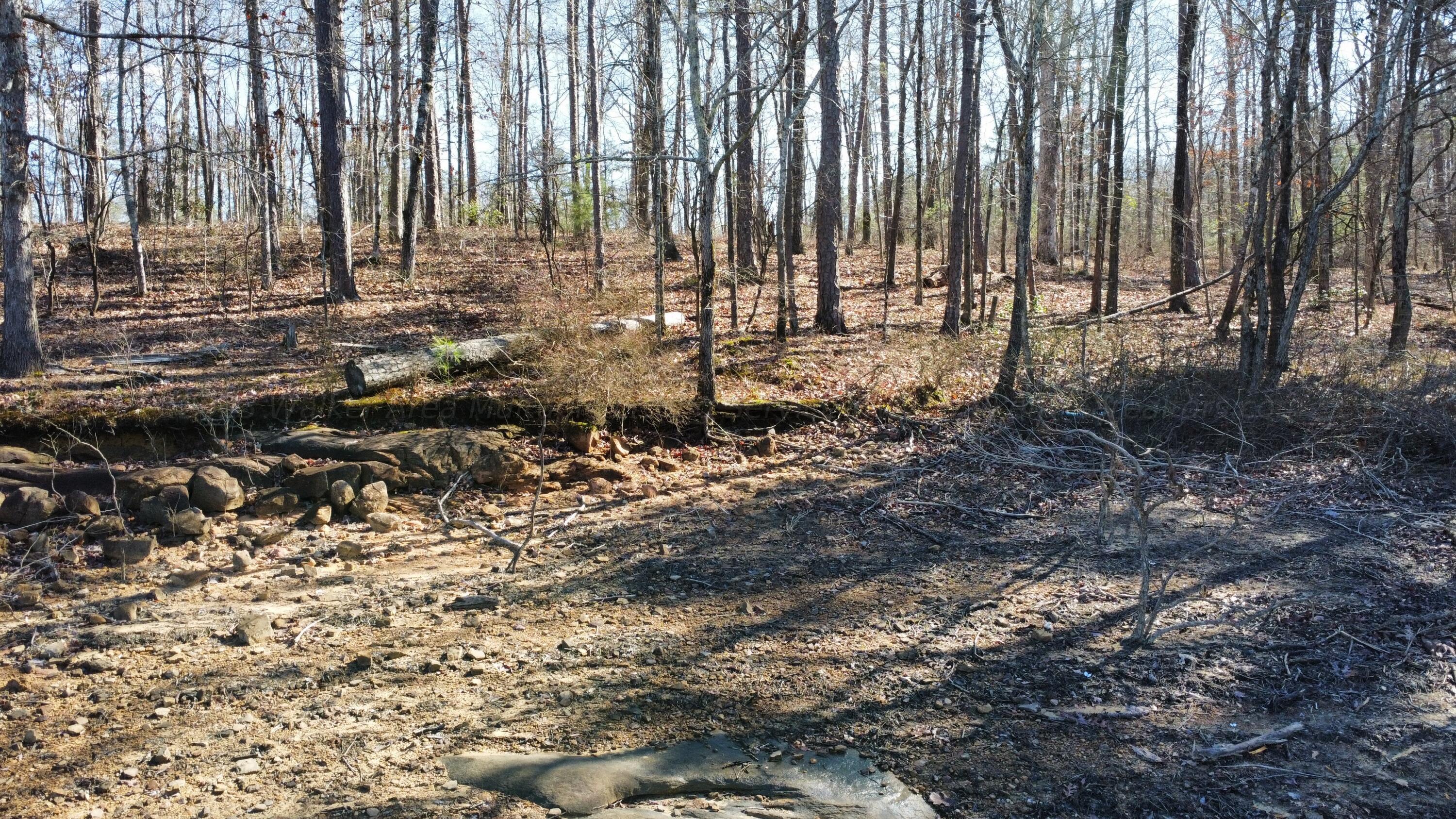 LOT 132 STONEY POINT