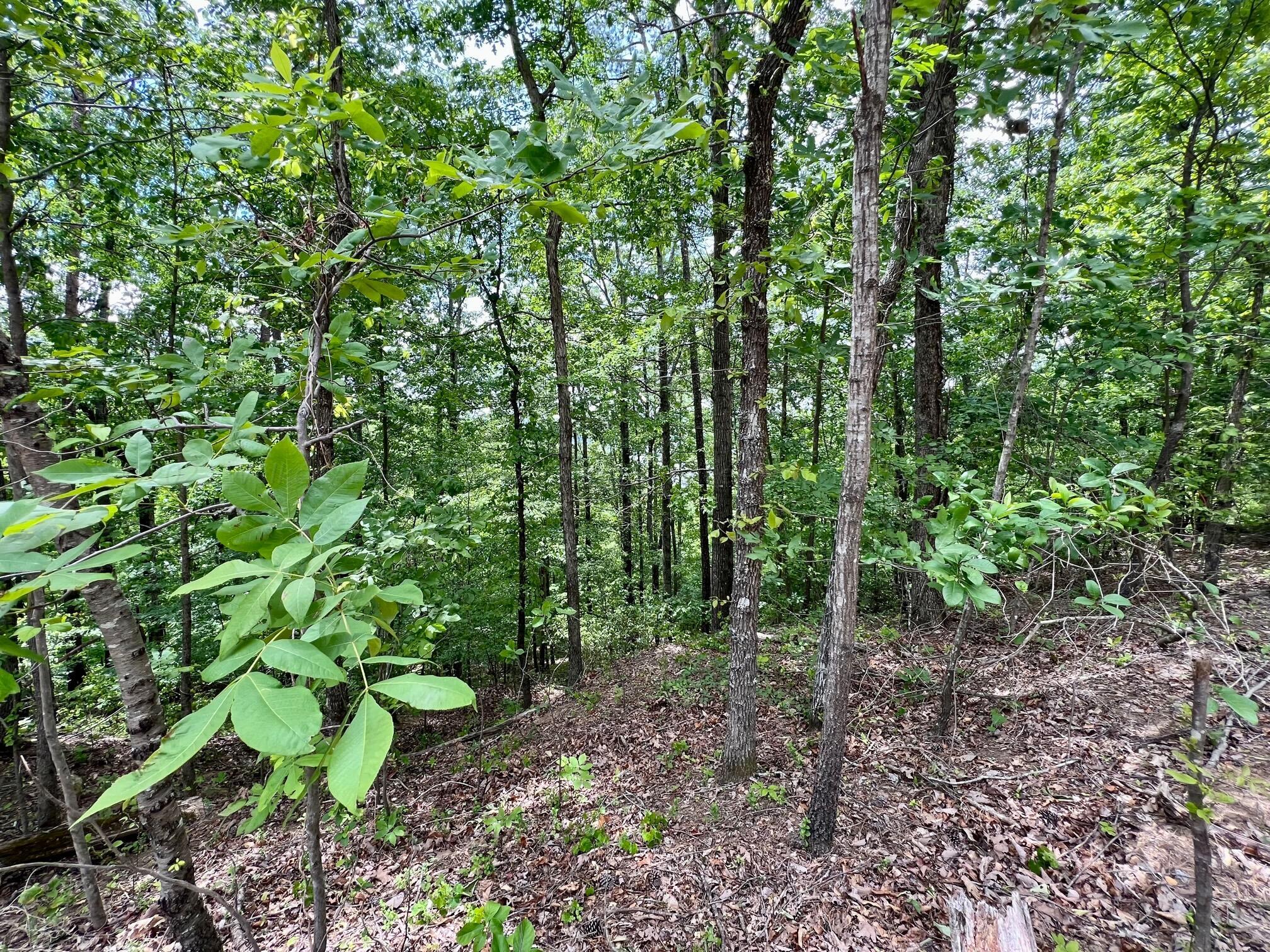 640 CO RD 338