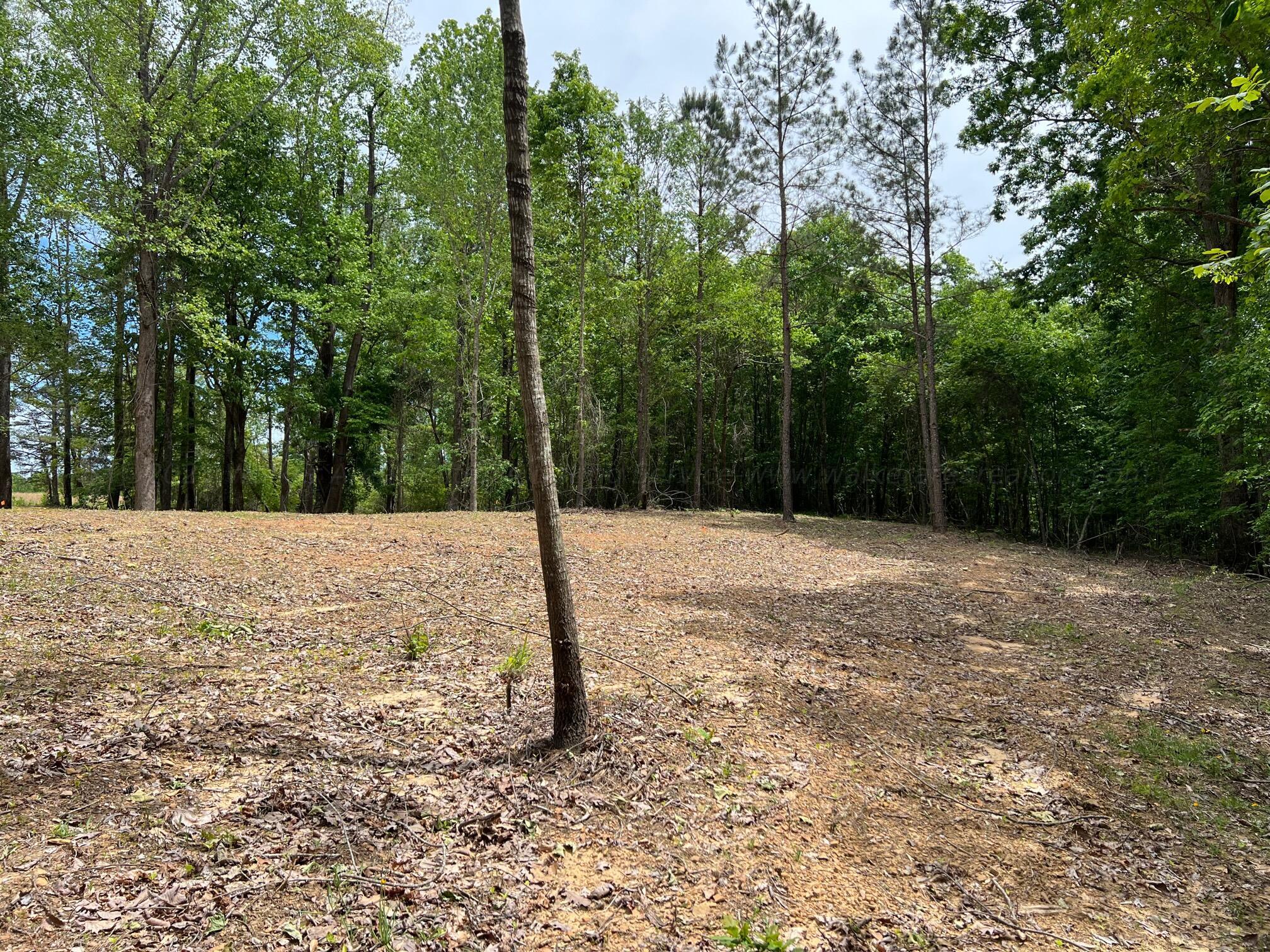 640 CO RD 338