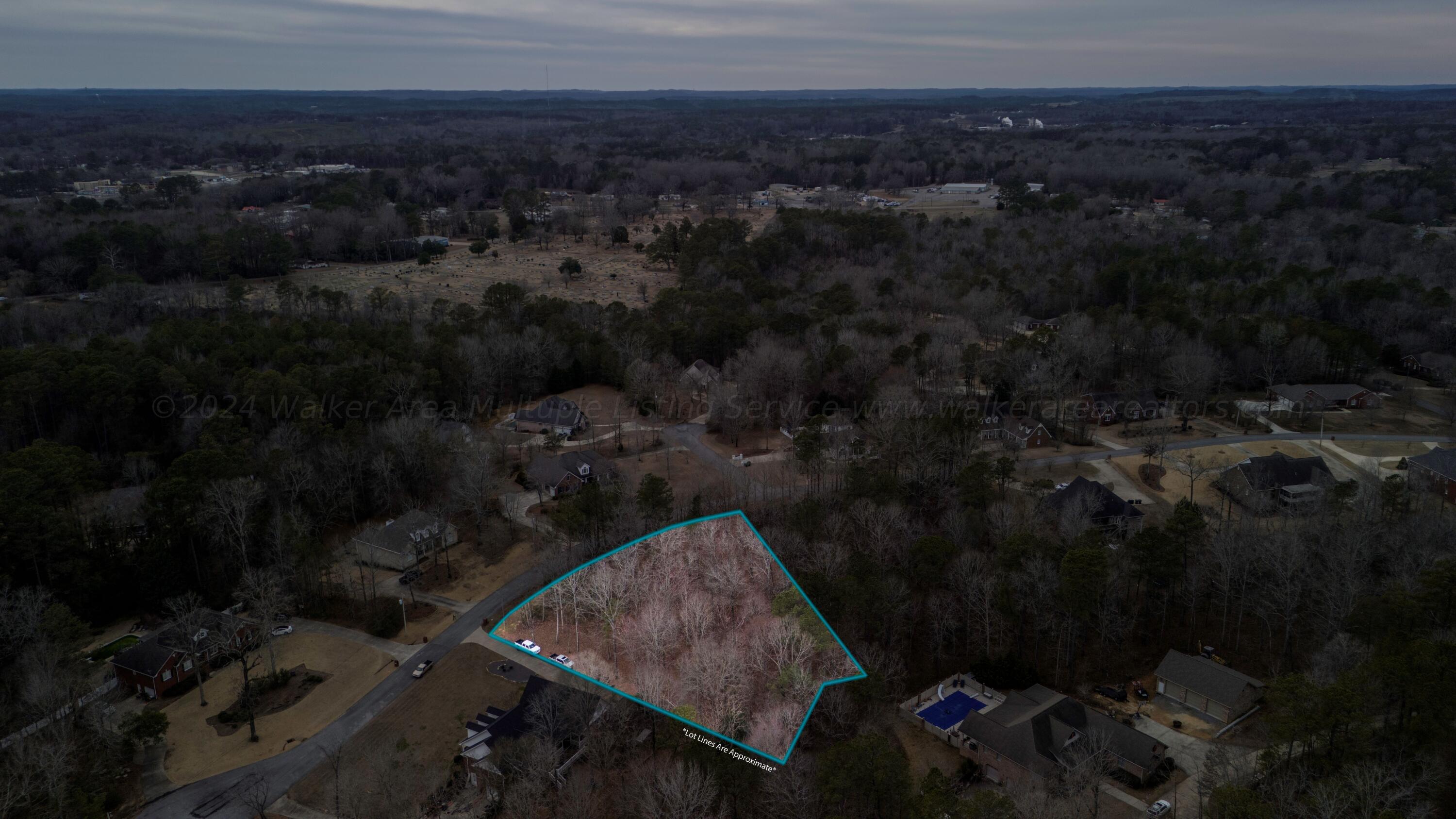 LOT 37 LOBLOLLY LN