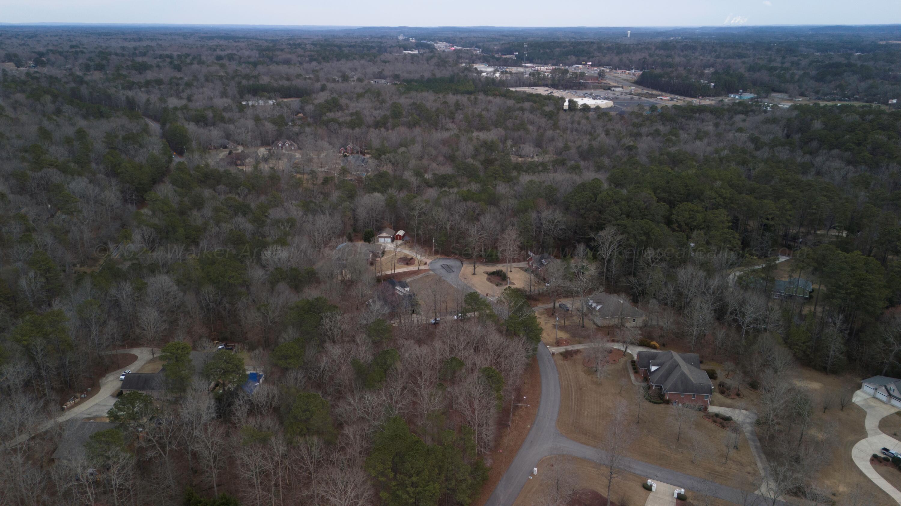 LOT 37 LOBLOLLY LN