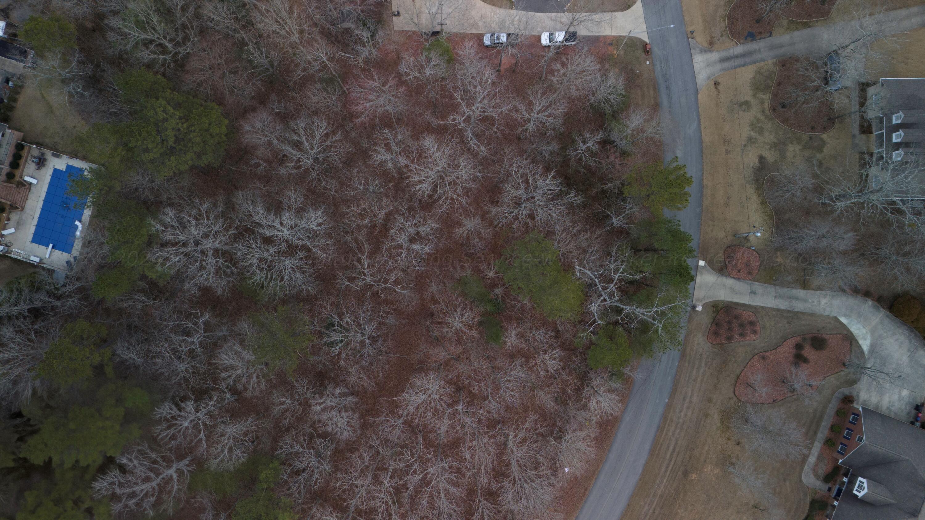 LOT 37 LOBLOLLY LN