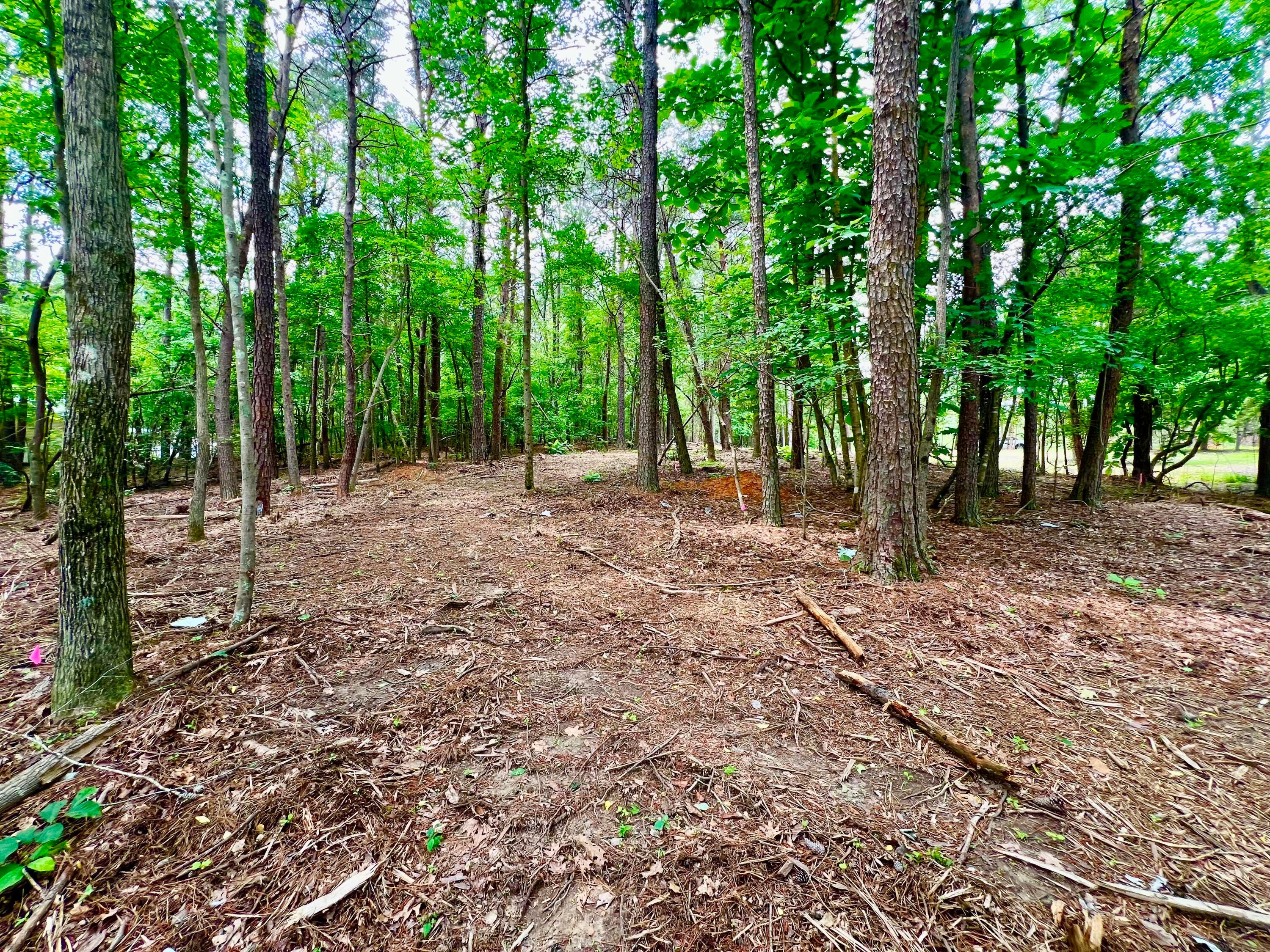 LOT1 6577 CO RD 201