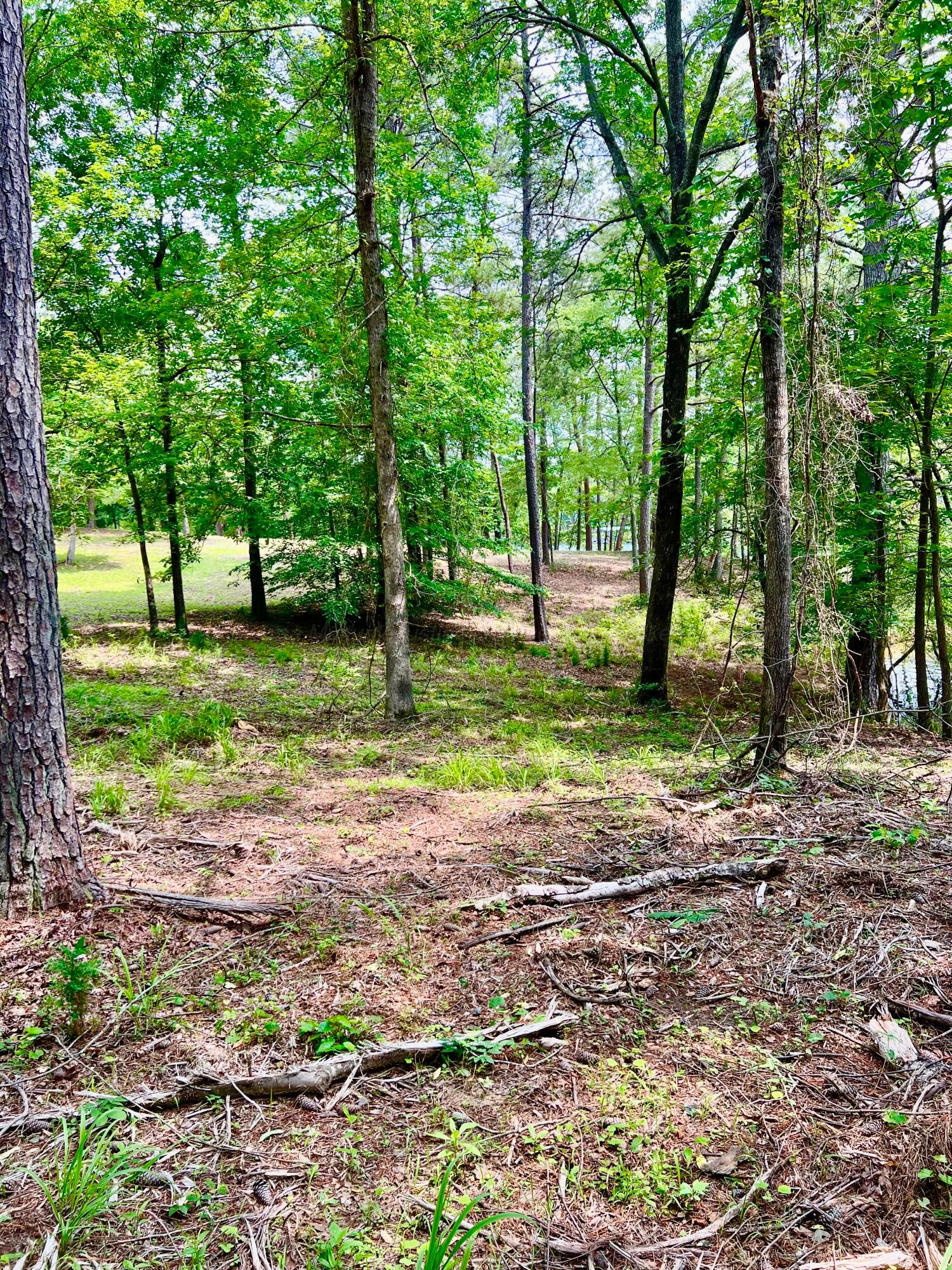 LOT1 6577 CO RD 201