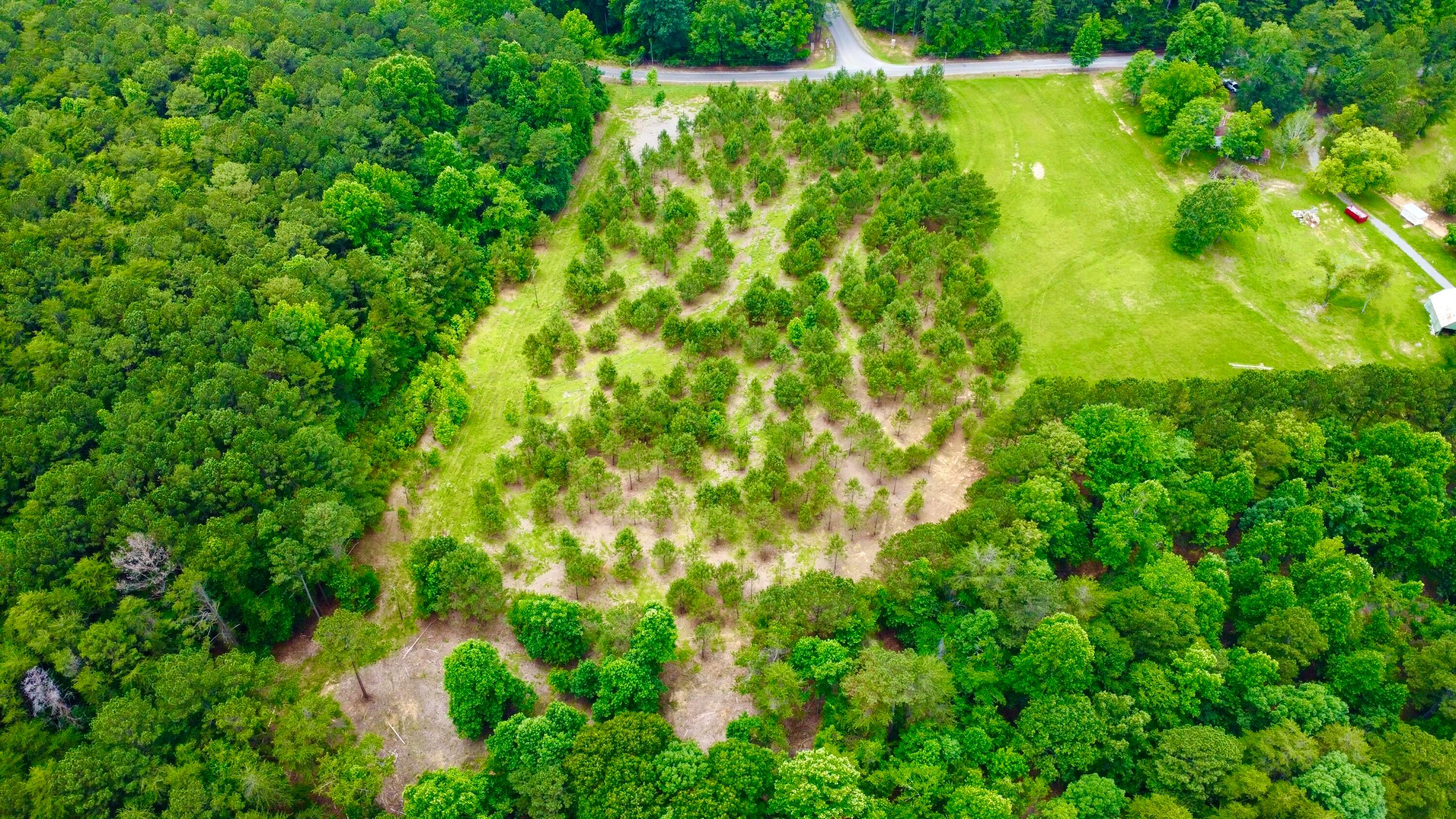 LOT1 6577 CO RD 201