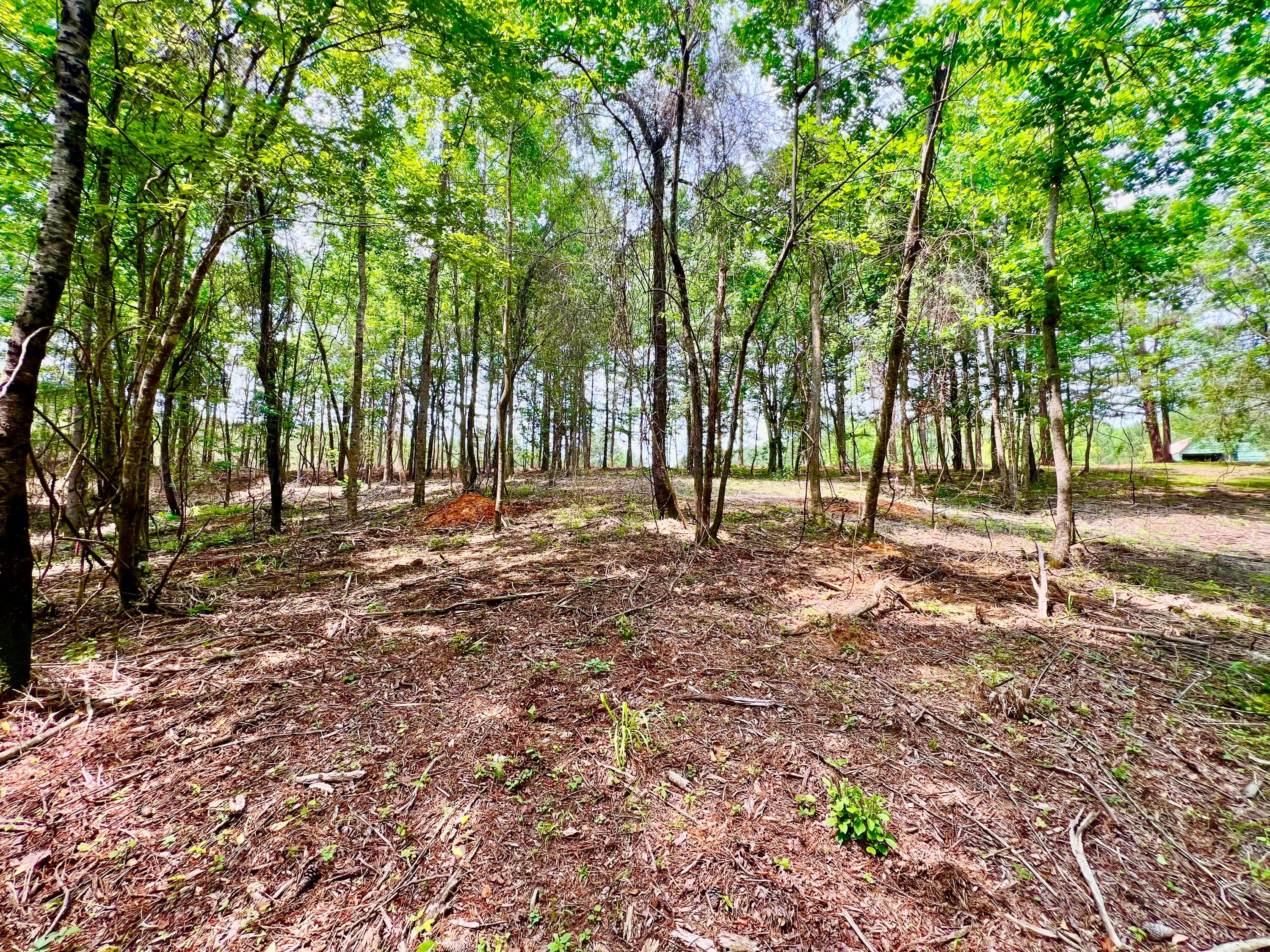 LOT2 6577 CO RD 201