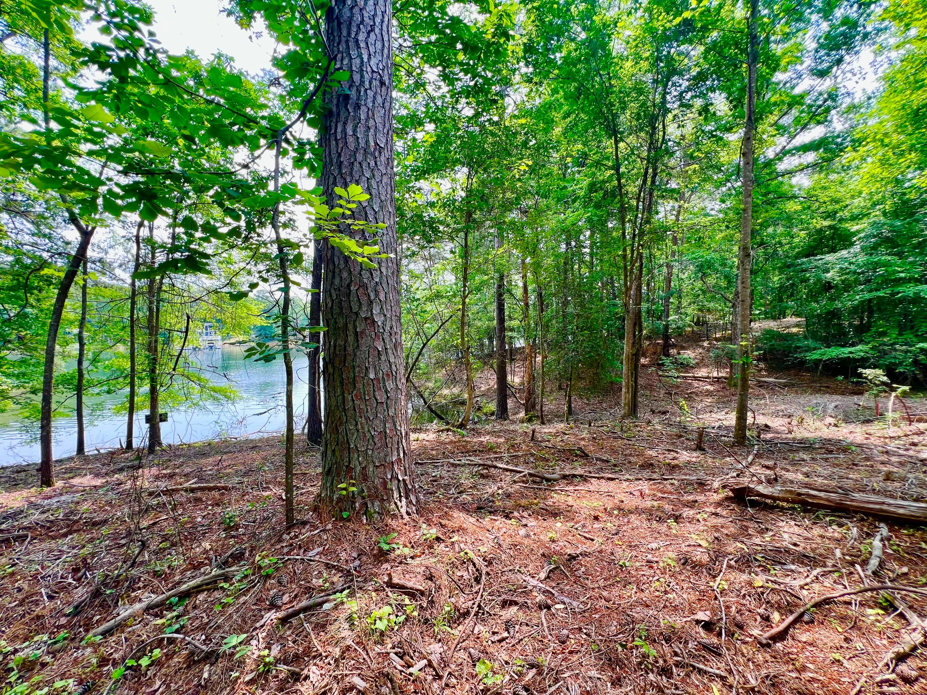 LOT2 6577 CO RD 201