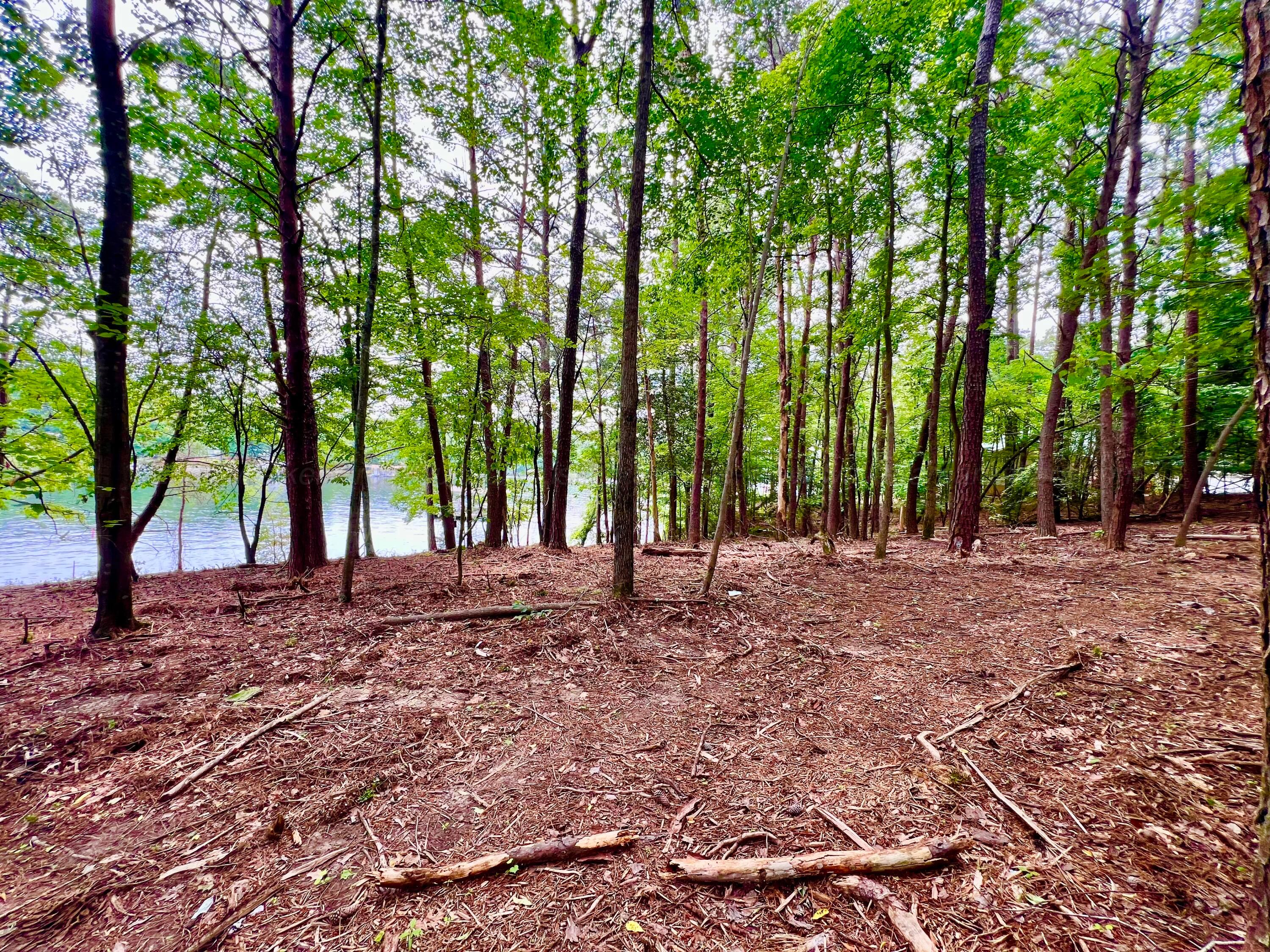 LOT2 6577 CO RD 201