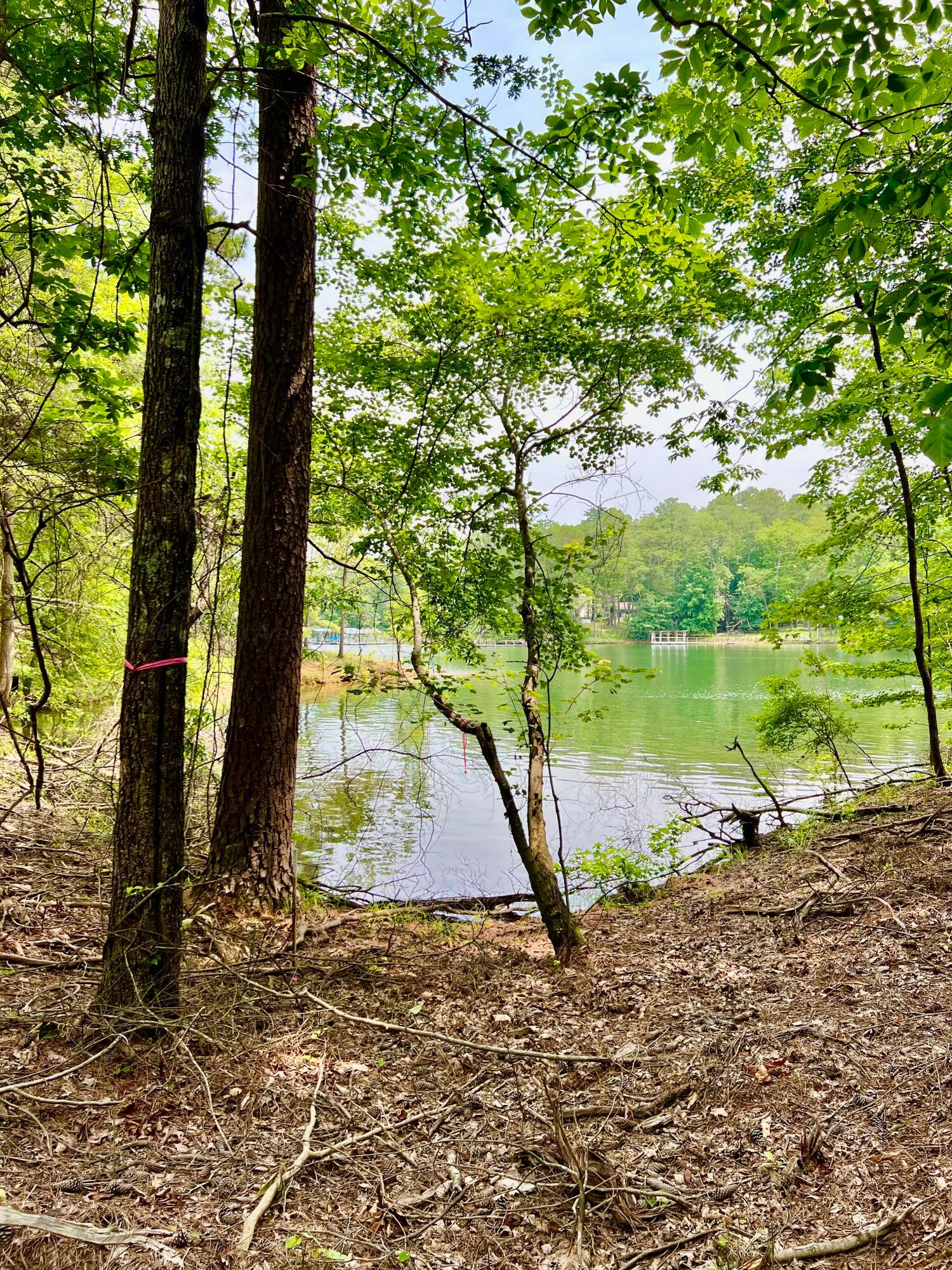 LOT3 6577 CO RD 201