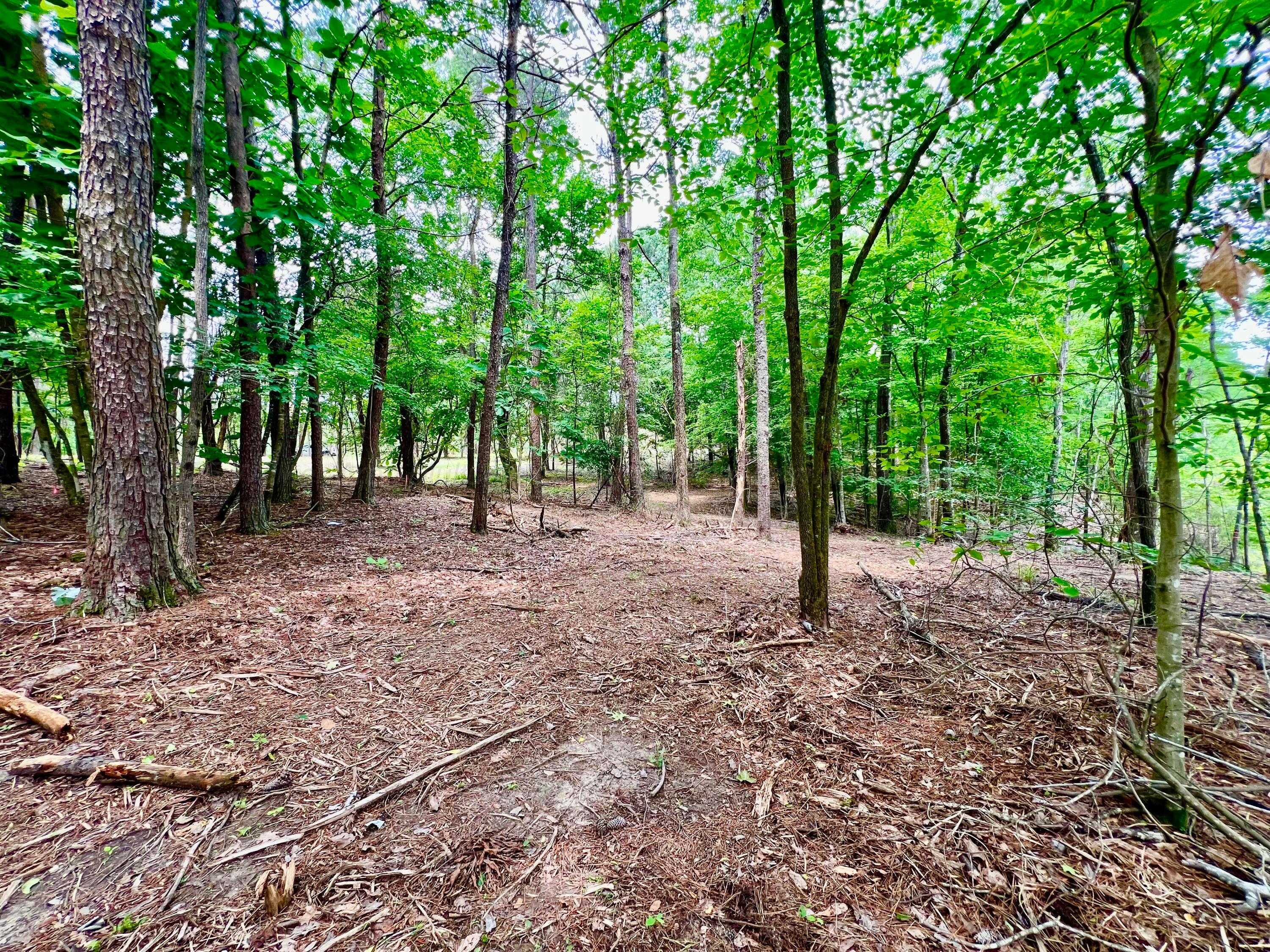 LOT3 6577 CO RD 201