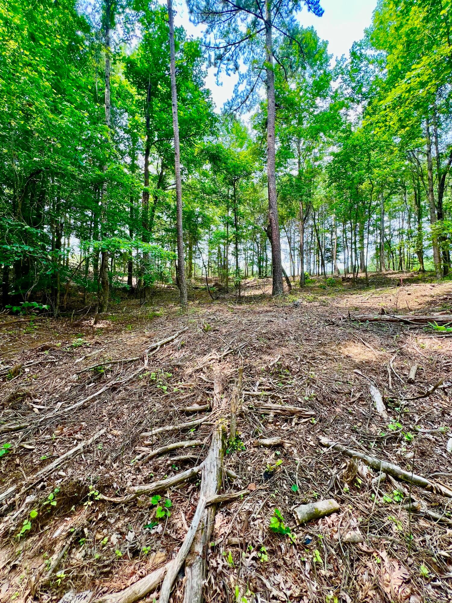 LOT3 6577 CO RD 201