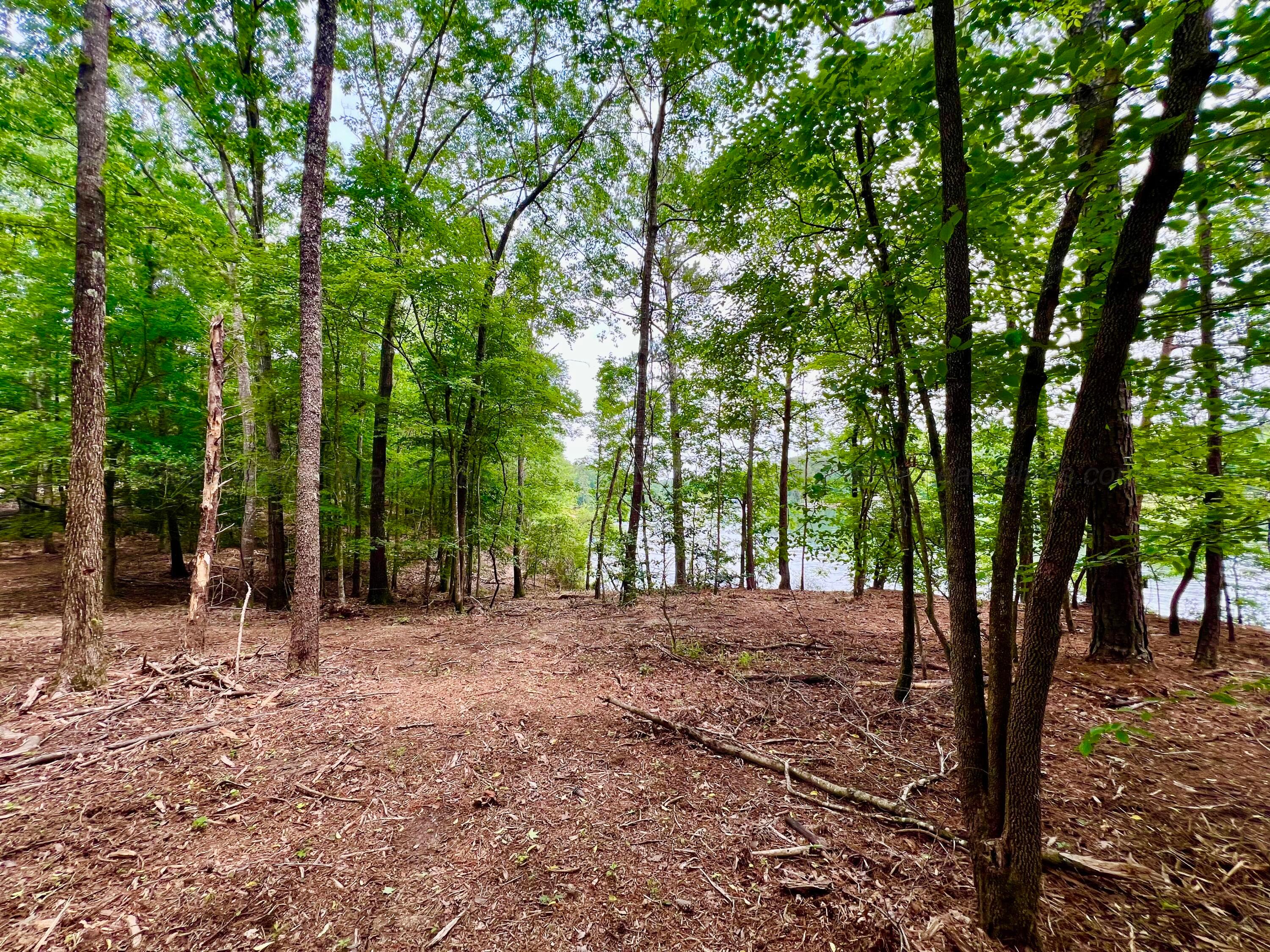 LOT5 6577 CO RD 201