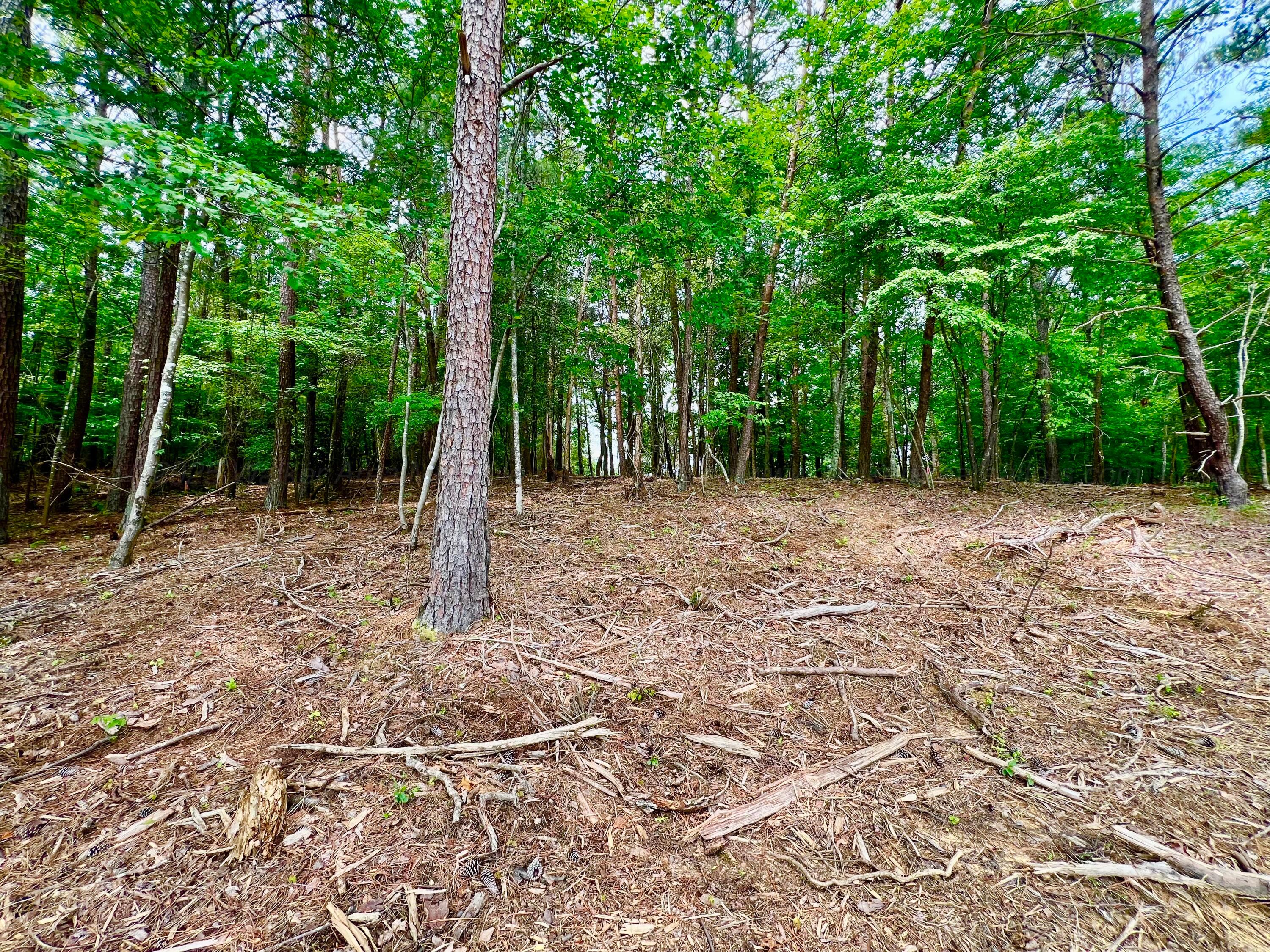 LOT5 6577 CO RD 201