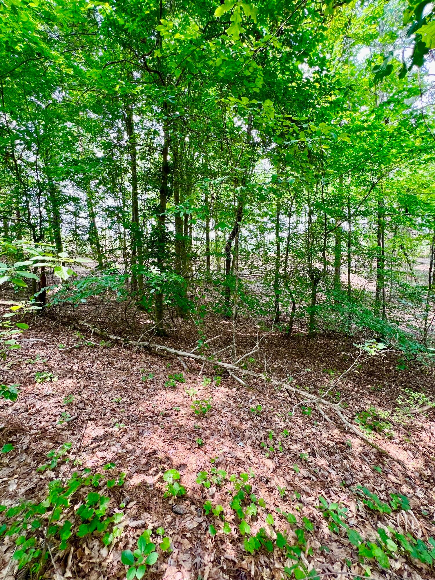 LOT5 6577 CO RD 201