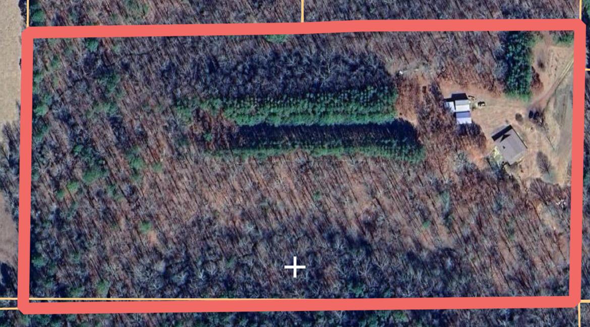 200 BEECH Ln