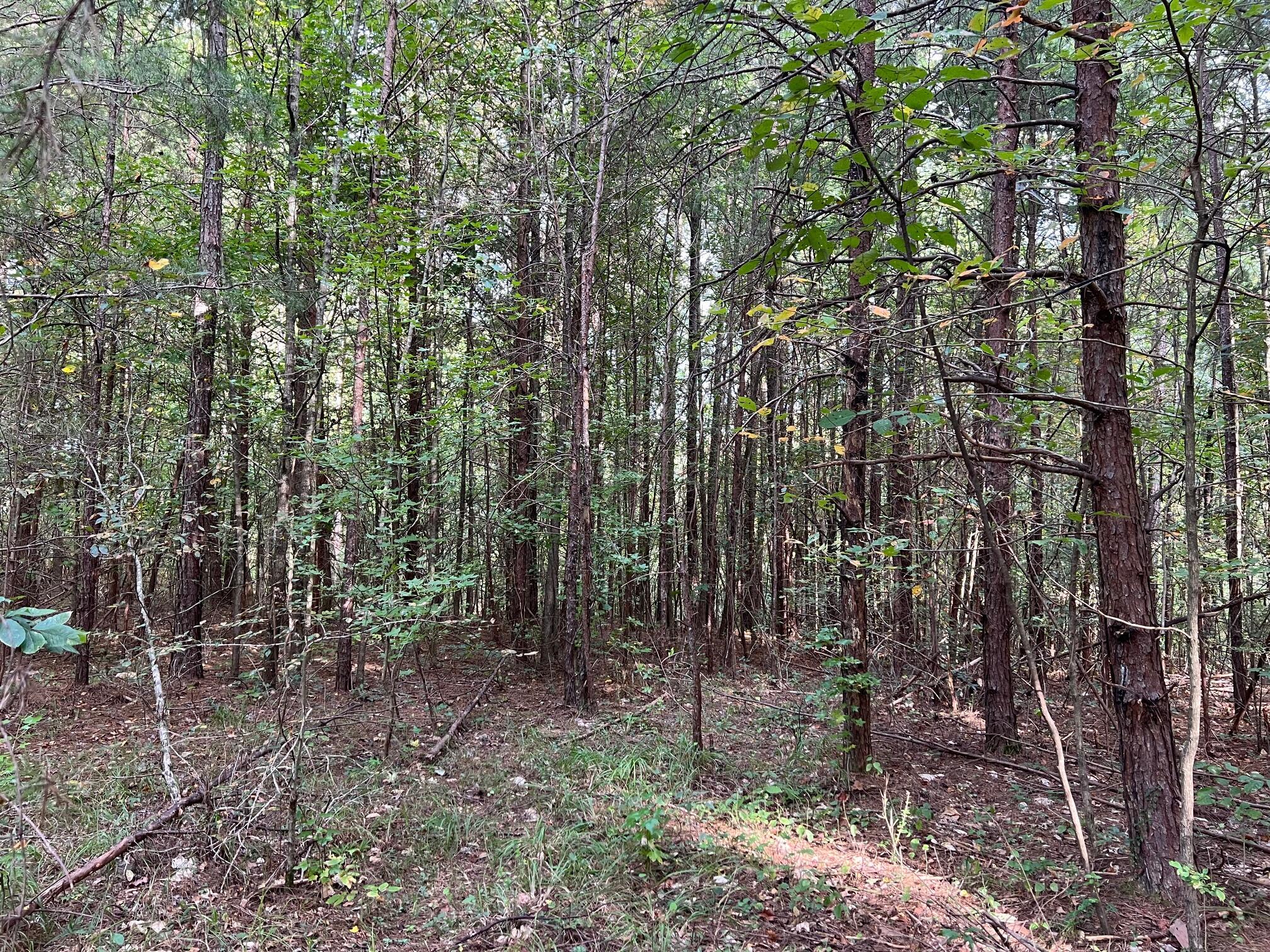 000 MANUEL HILL Rd