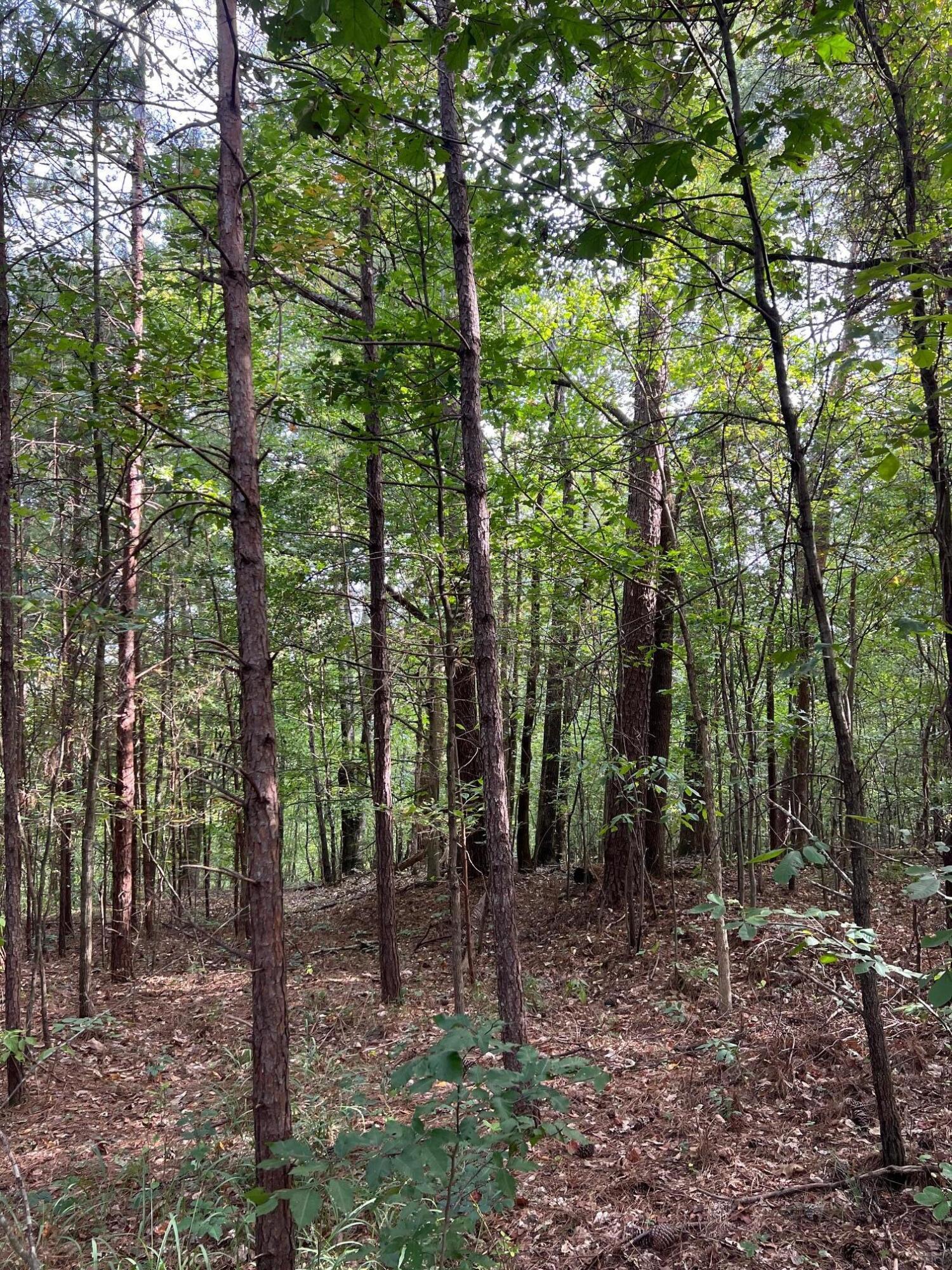 000 MANUEL HILL Rd