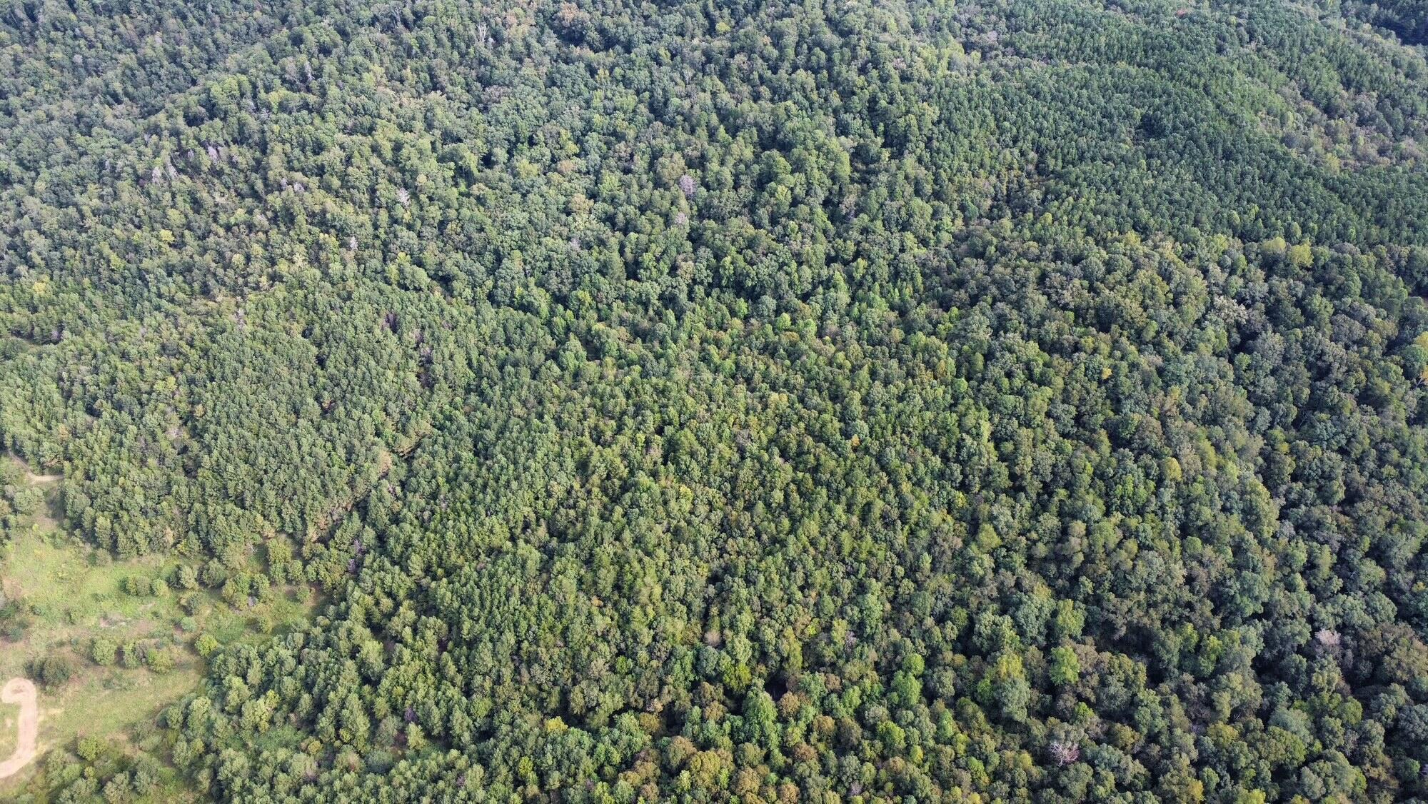 000 MANUEL HILL Rd