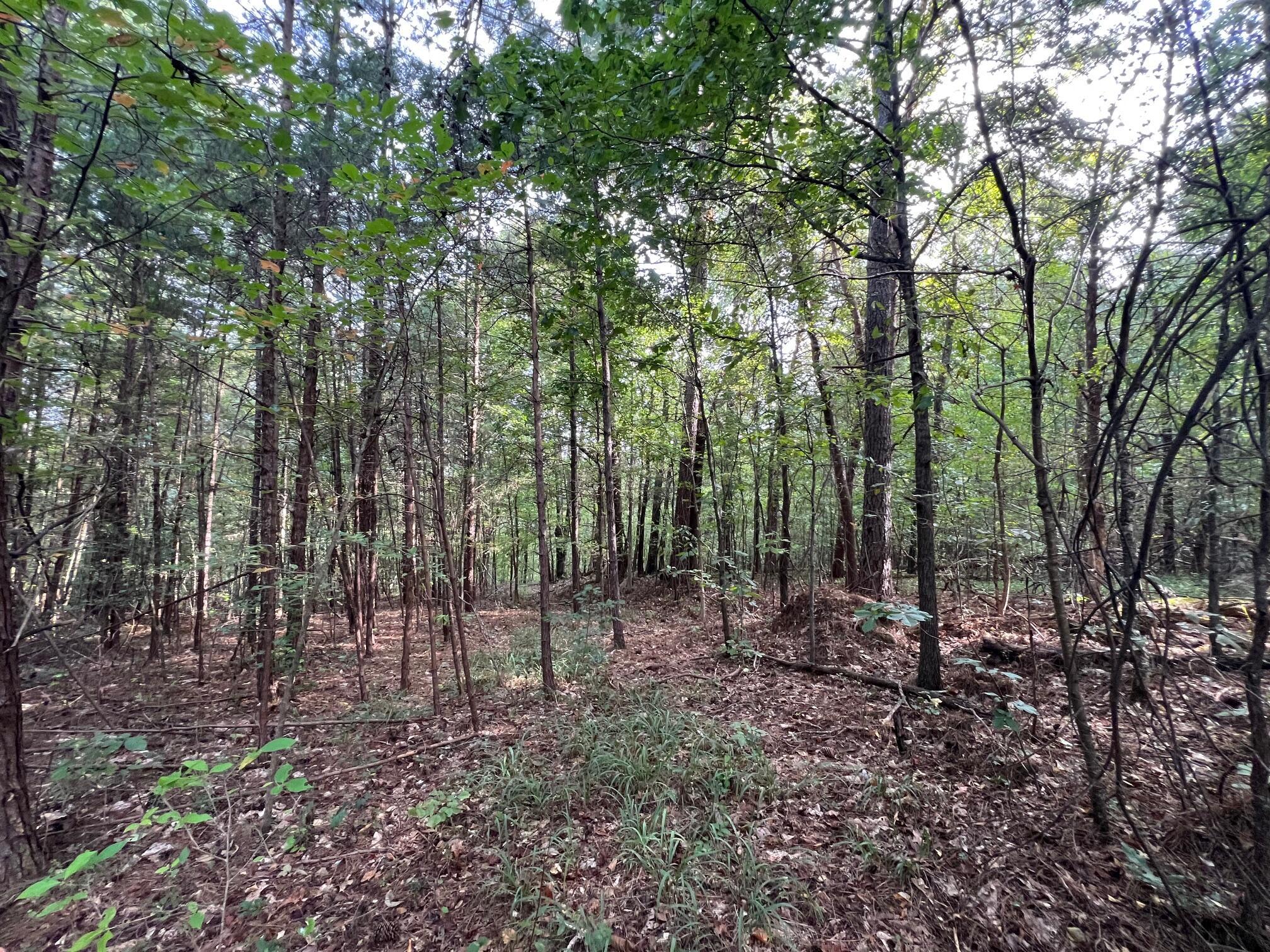 000 MANUEL HILL Rd