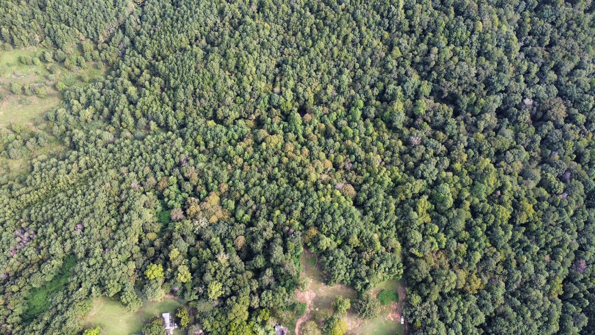 000 MANUEL HILL Rd