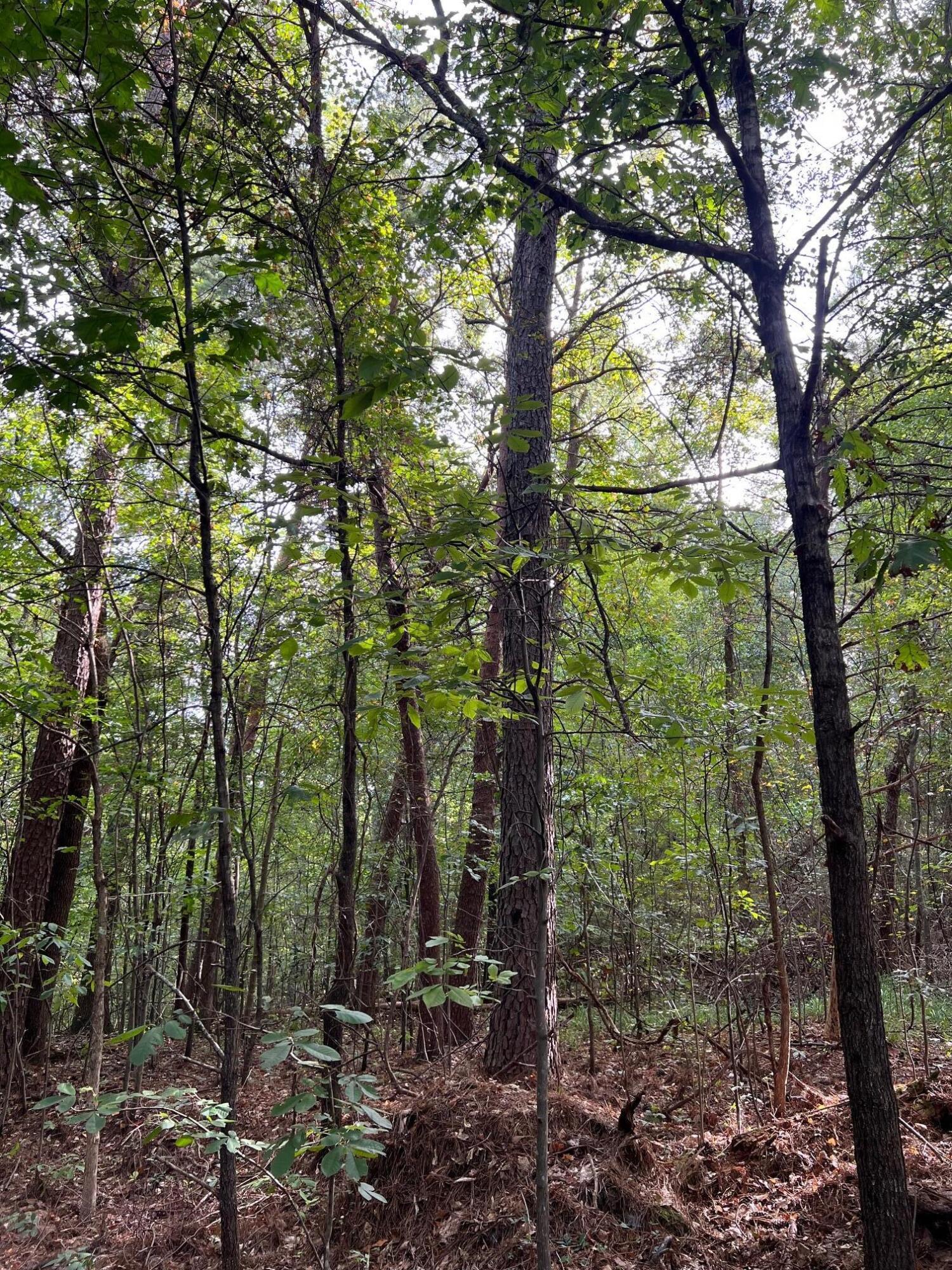 000 MANUEL HILL Rd