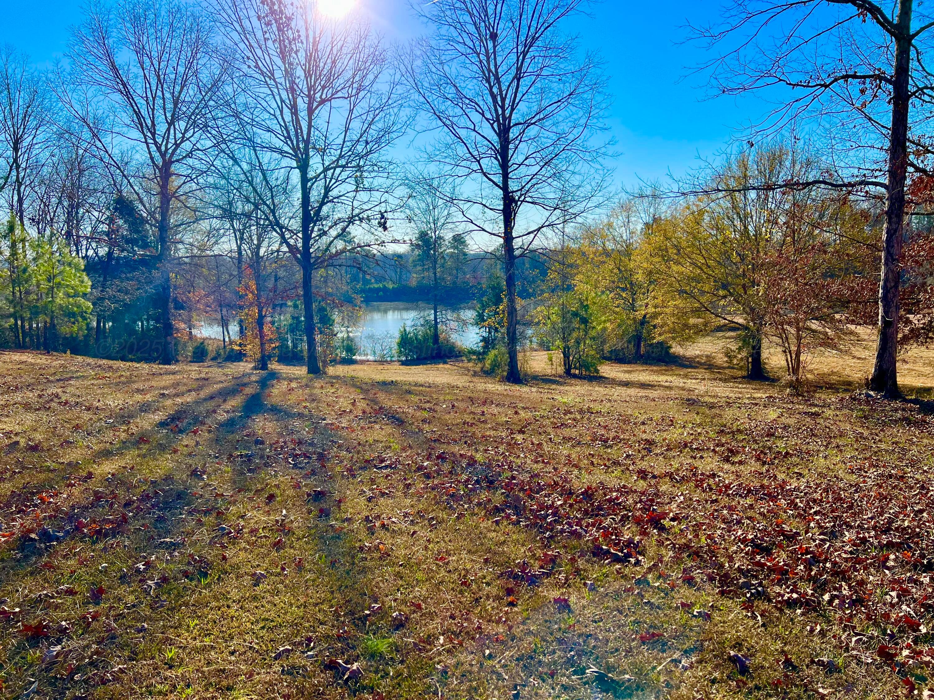 187 TWIN BRANCH Rd
