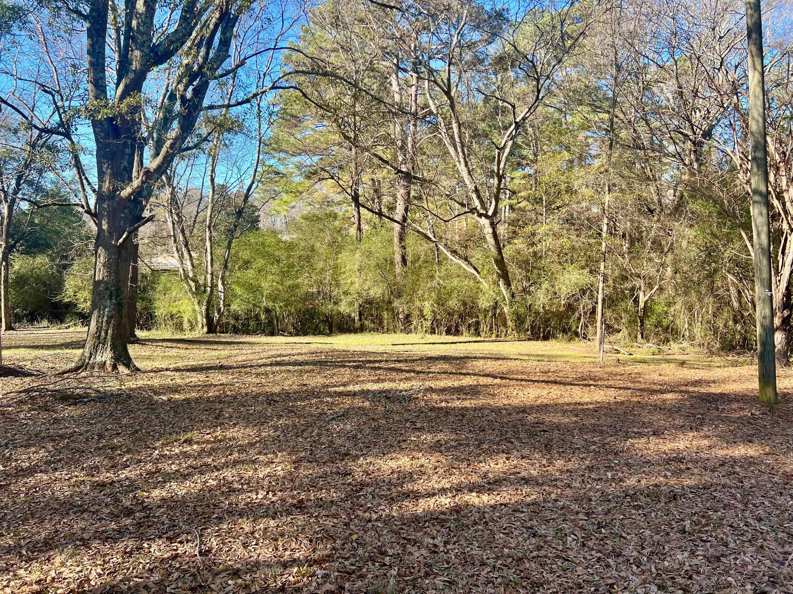1694 -GORGAS Rd