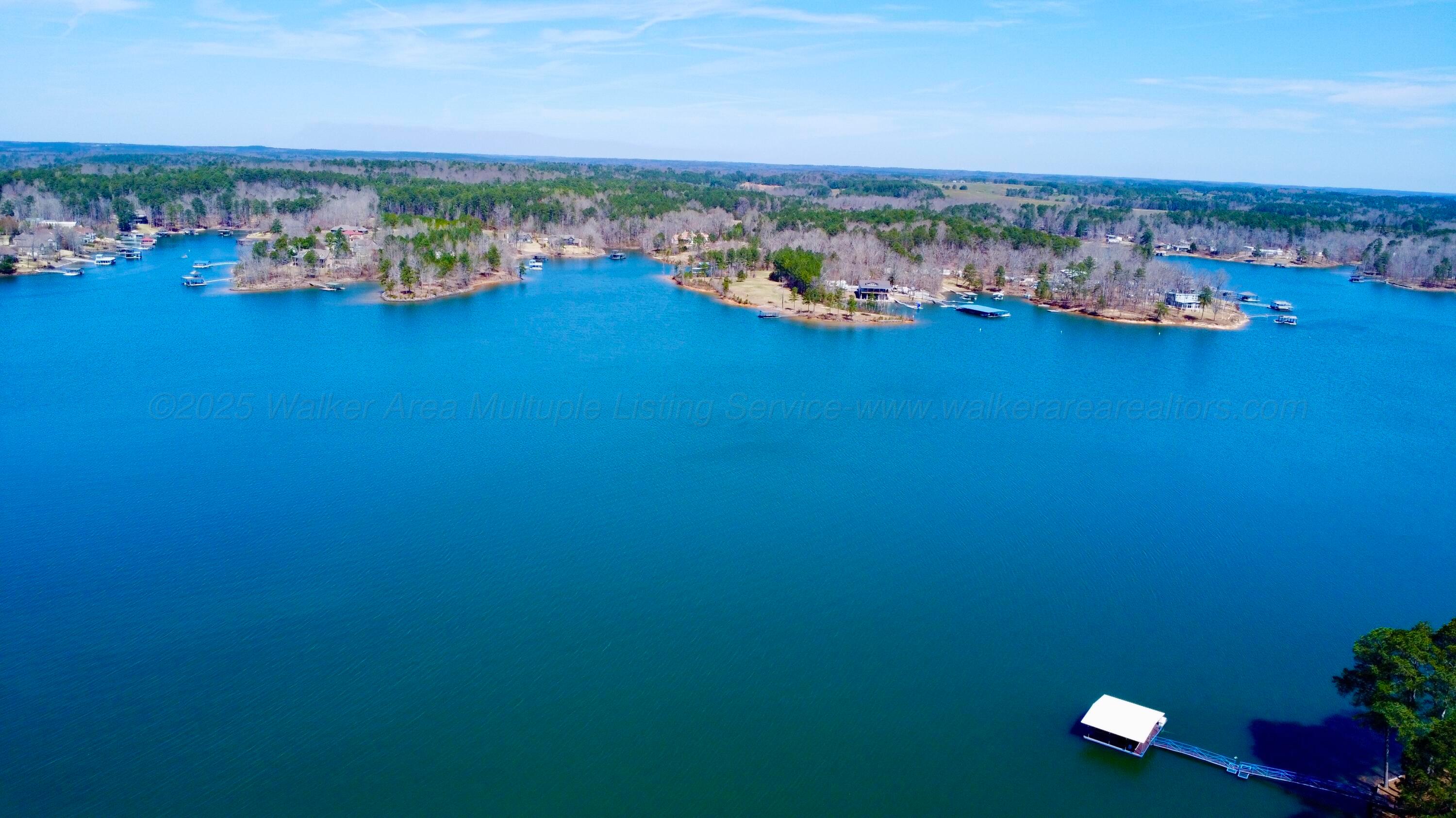 116 LAKE RIDGE Ln