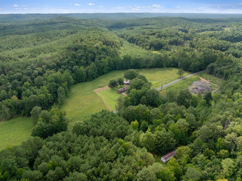 2062 YELLOW JACKET Rd