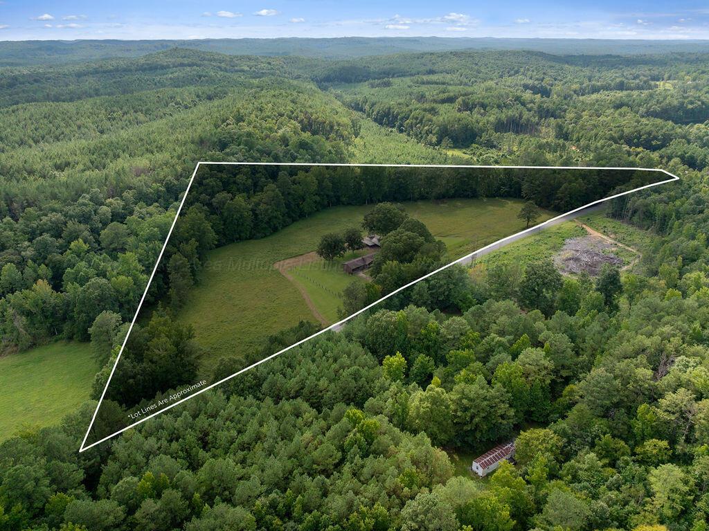 2062 YELLOW JACKET Rd