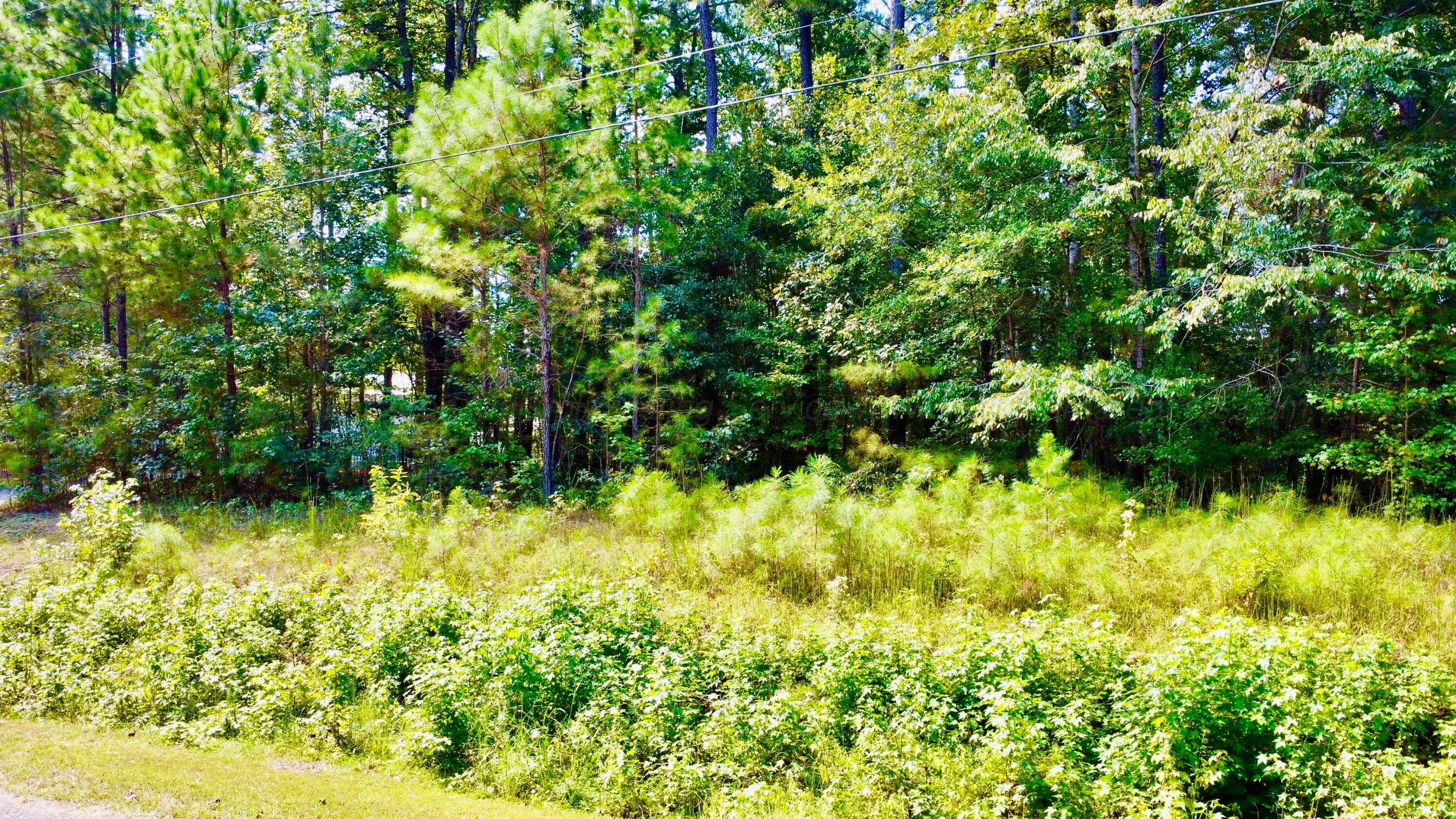 LOT 5 COUNTY ROAD 108