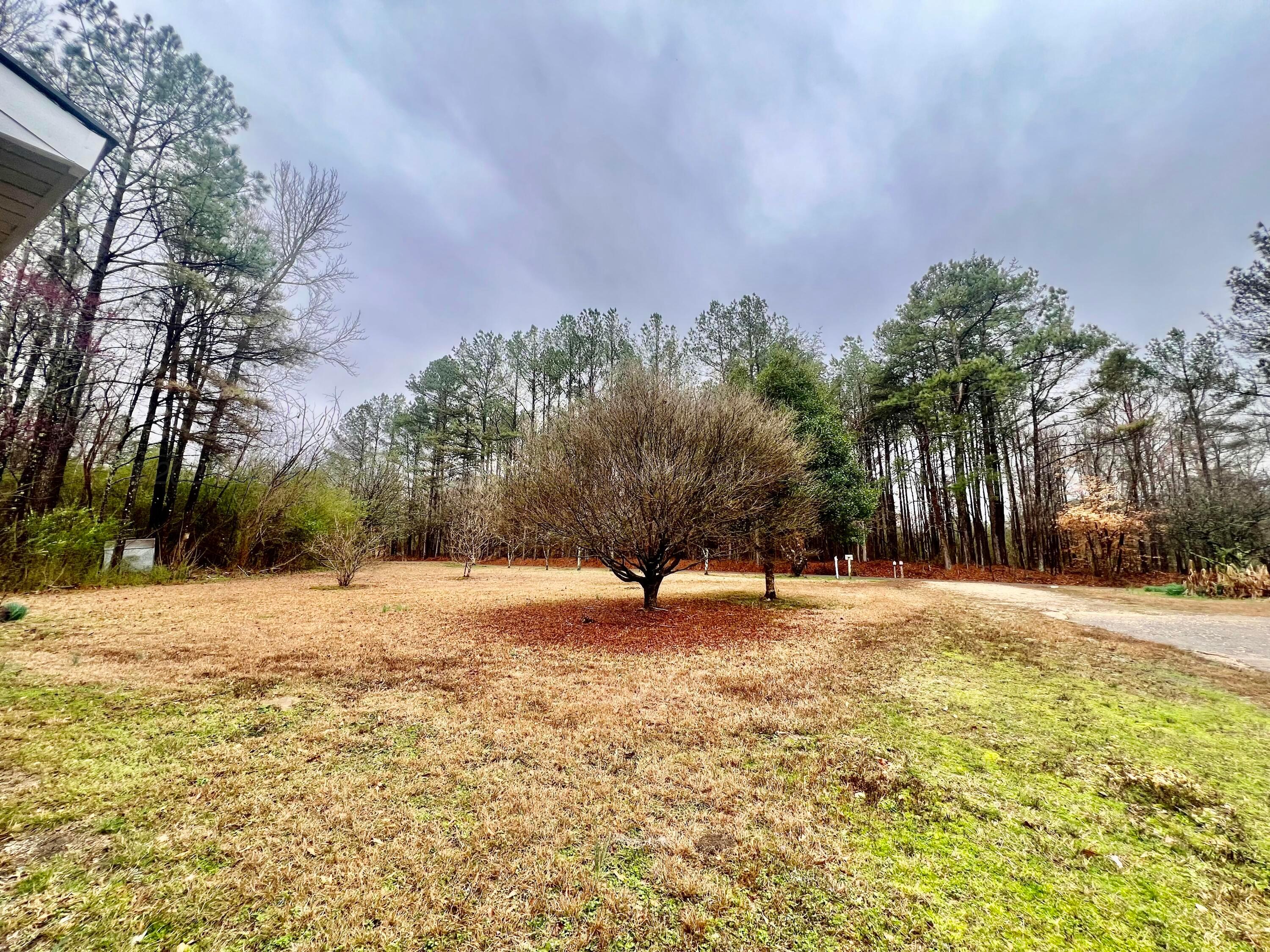 7310 DOGTOWN Rd