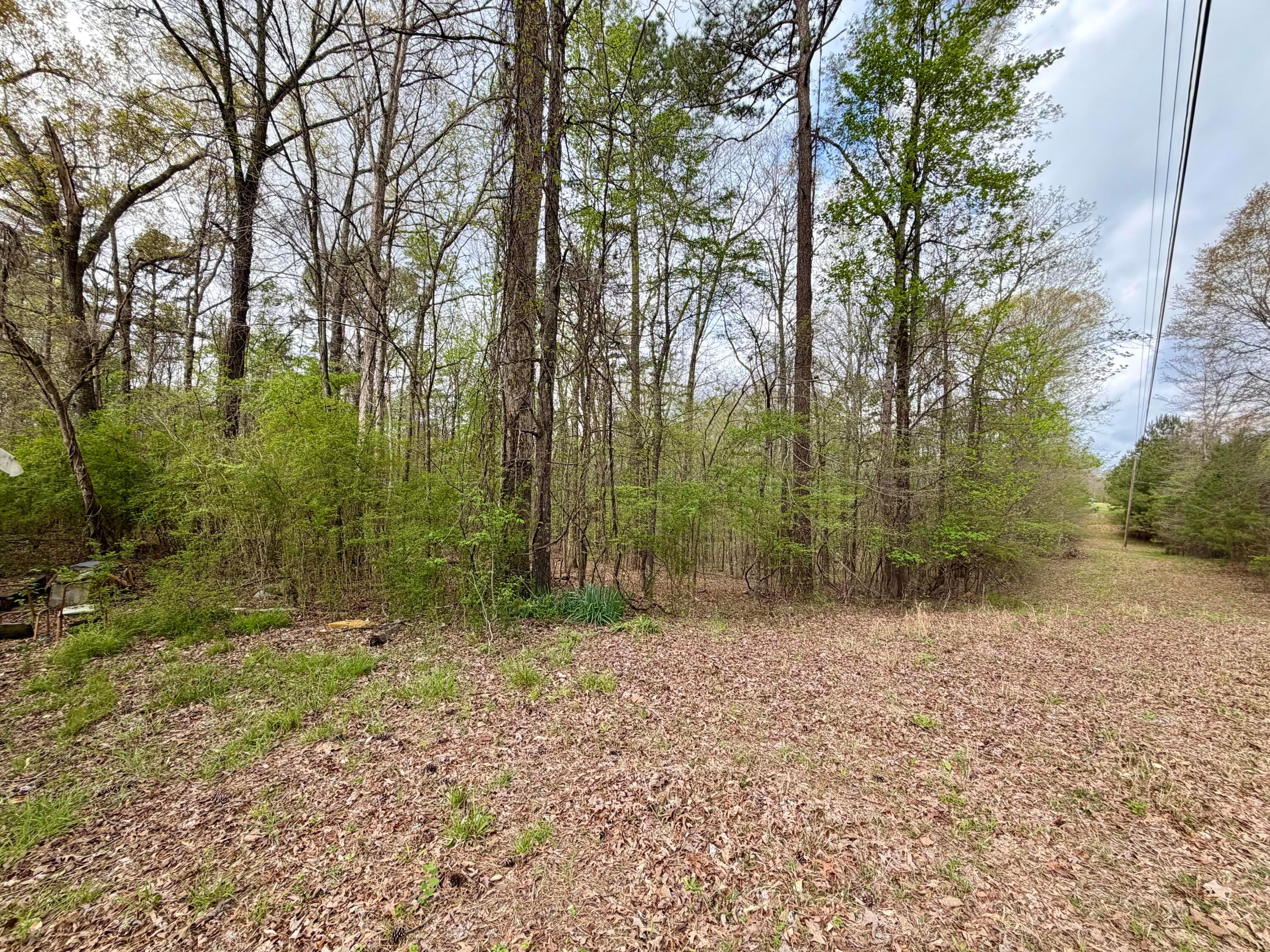 WIND ROW Ln