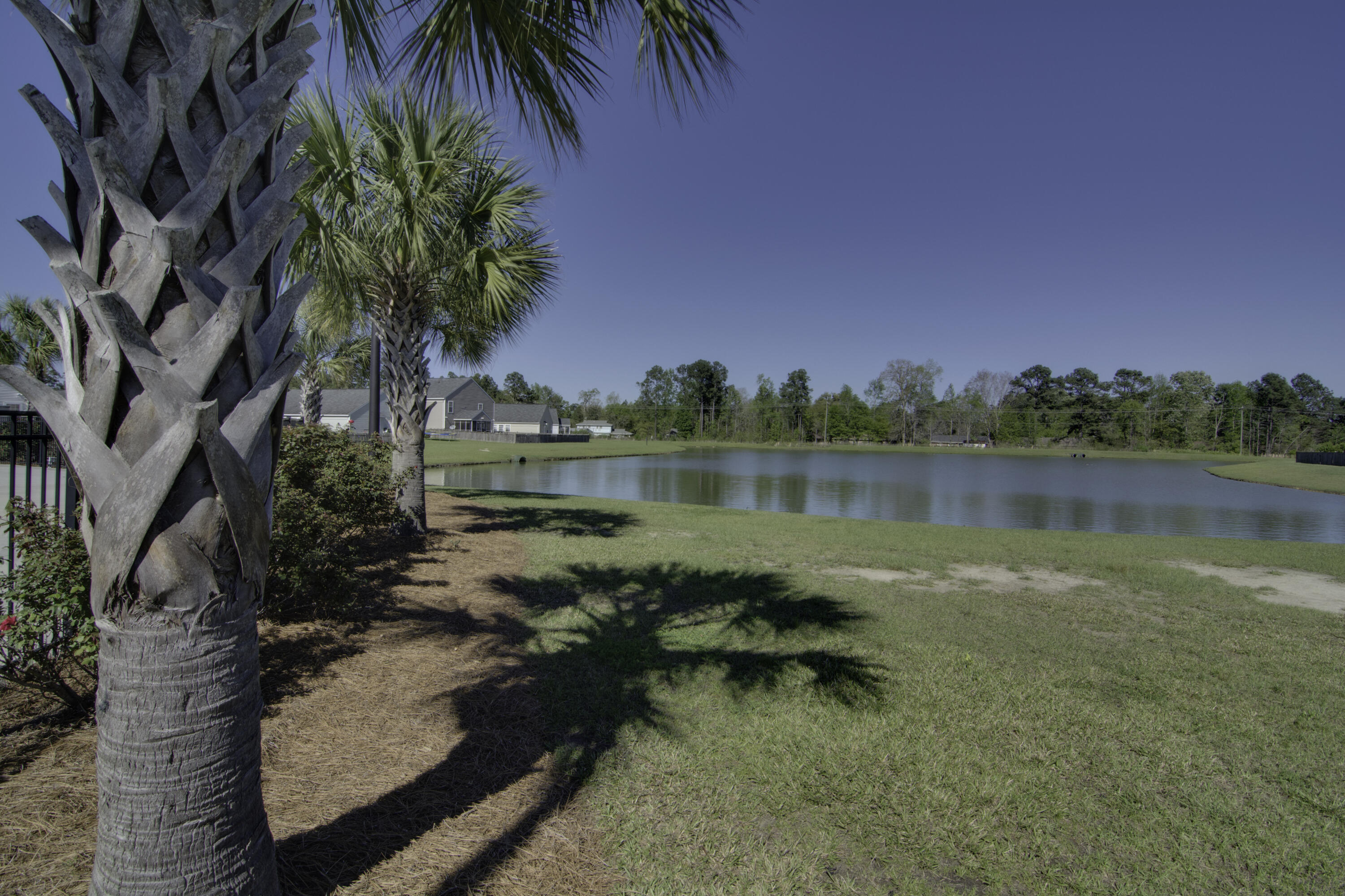 1097 Briar Rose Lane