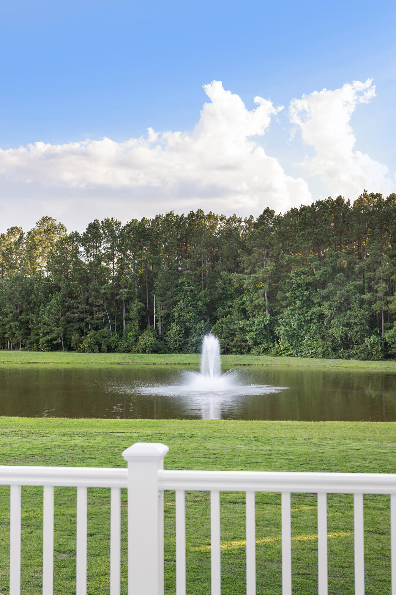 1130 Plantation Overlook Drive