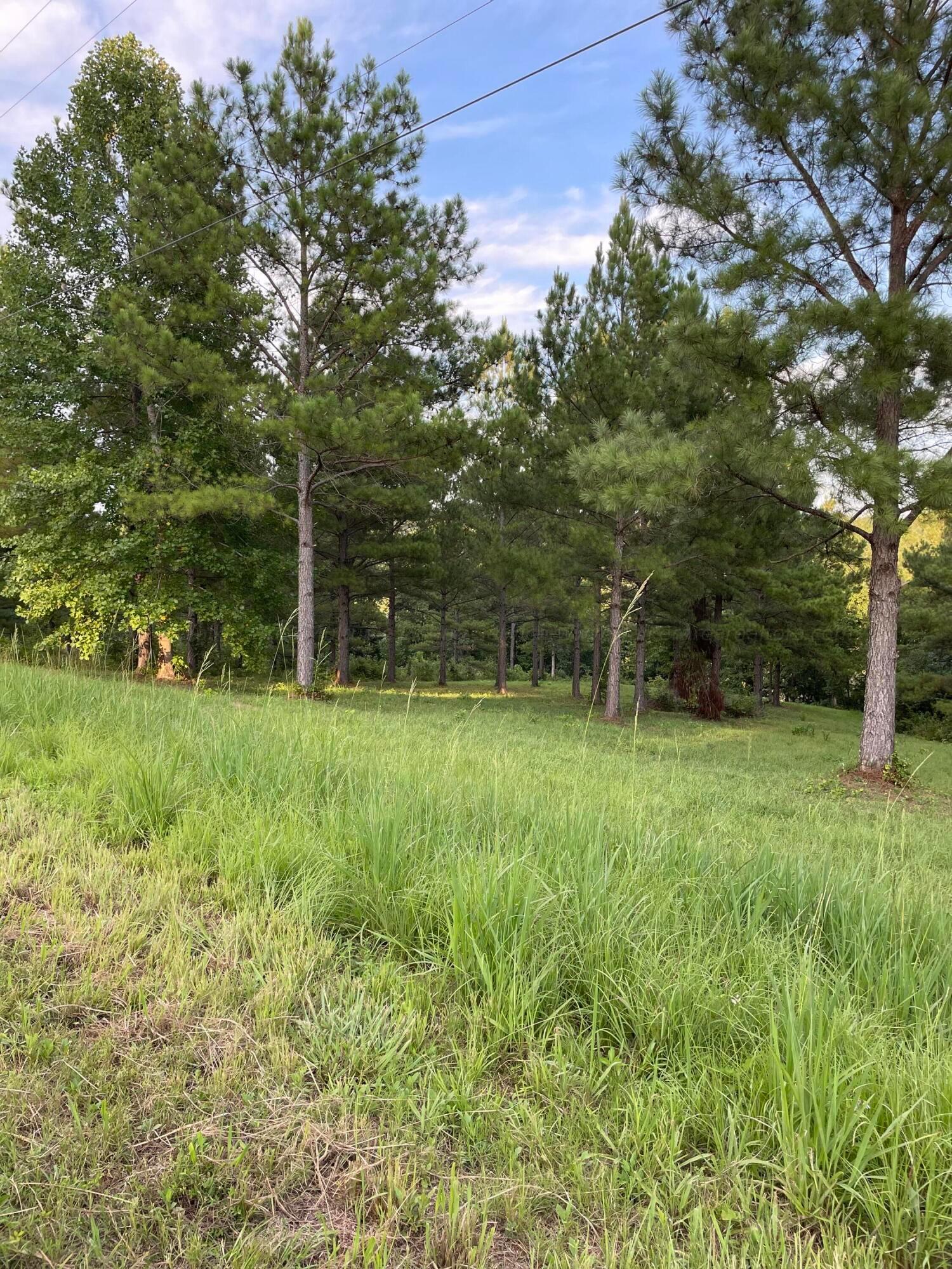 LOT 21 GRANDVIEW SHORES